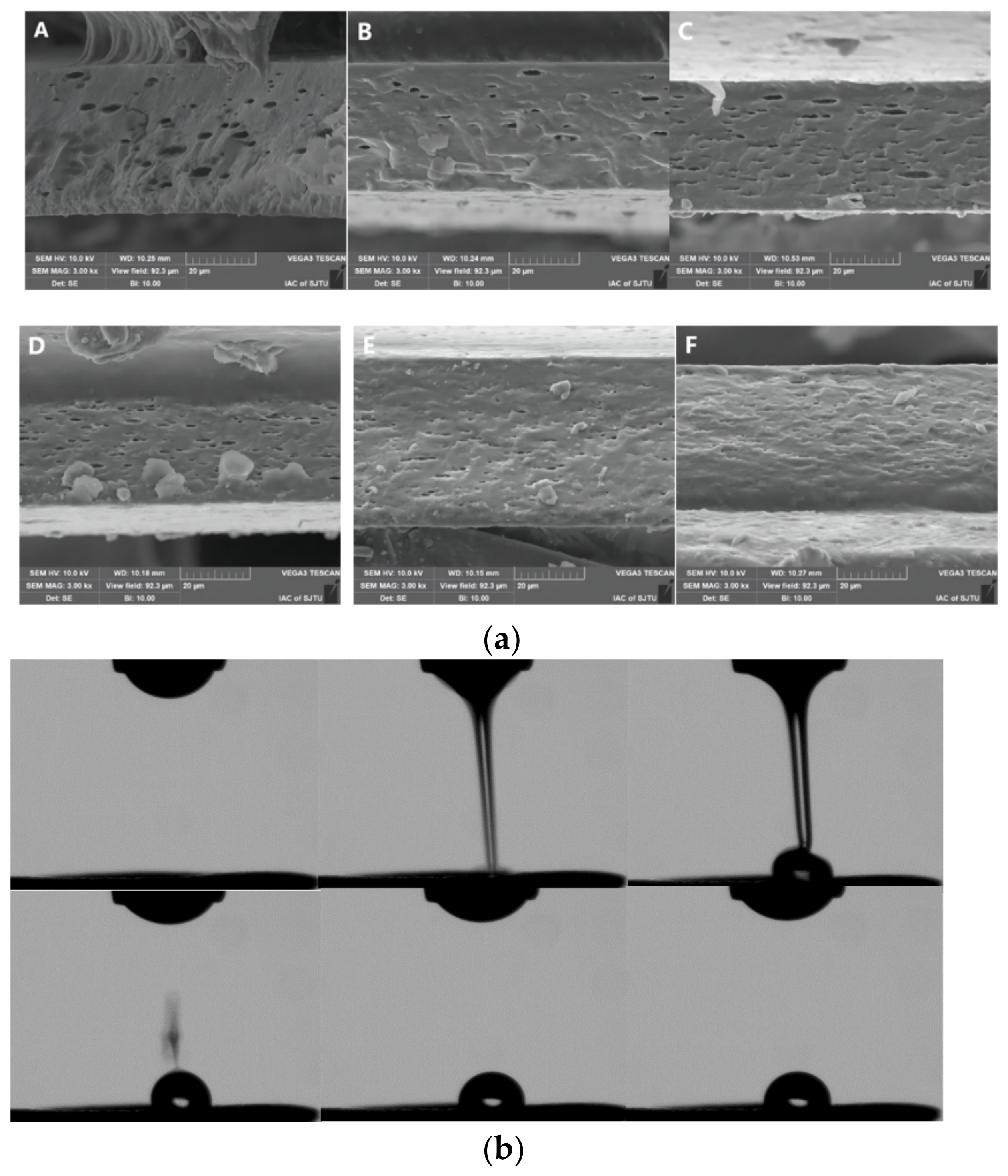 Foods 12 02197 g002a Foods 12 02197 g002a