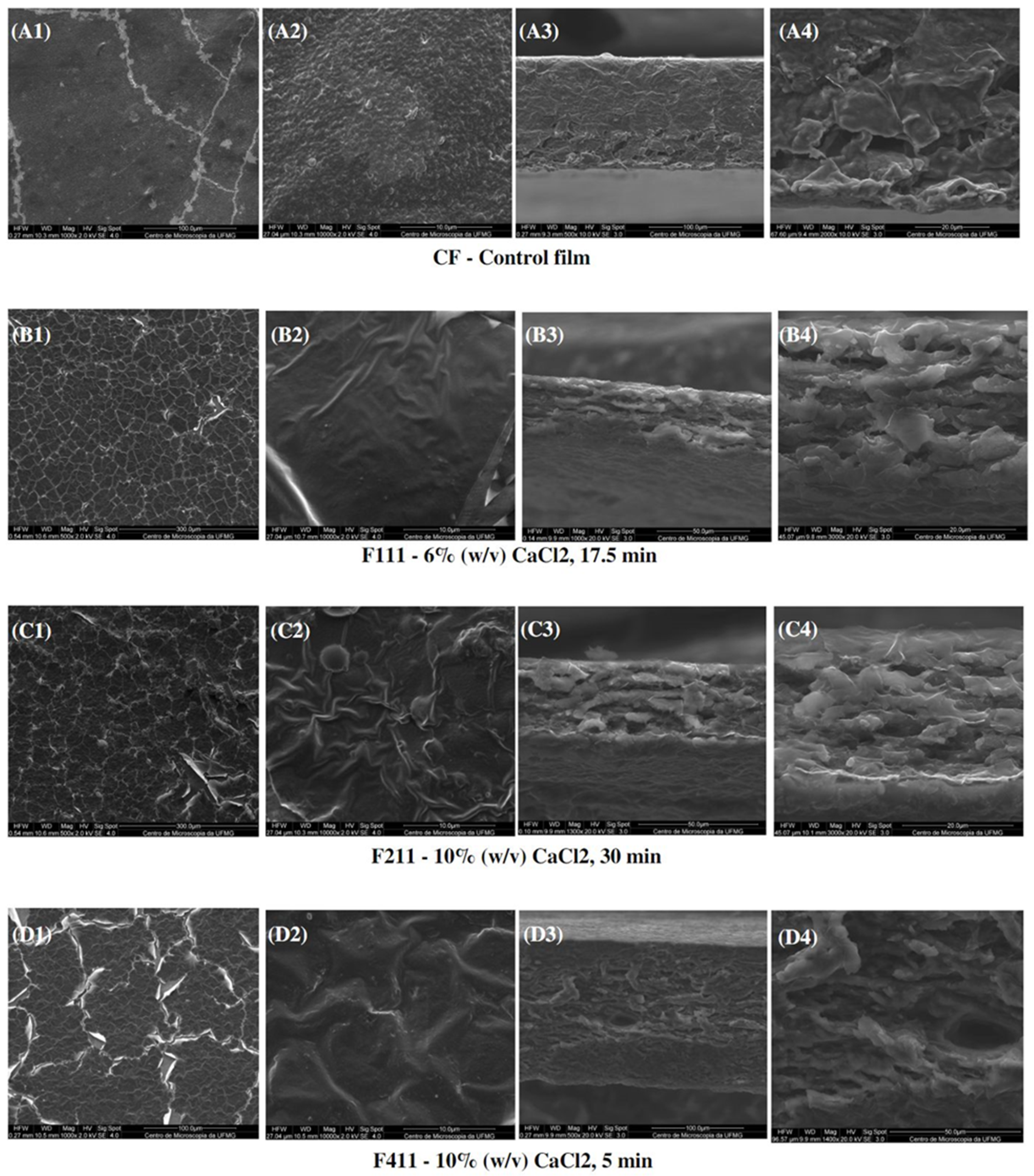 Foods 12 02520 g007 Foods 12 02520 g007