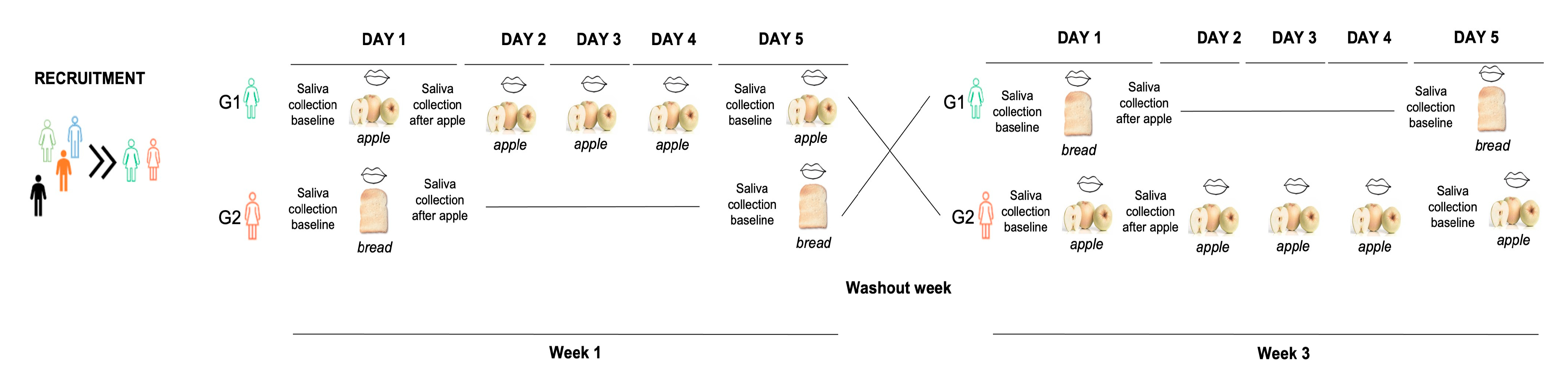 Foods 12 02540 g001 Foods 12 02540 g001