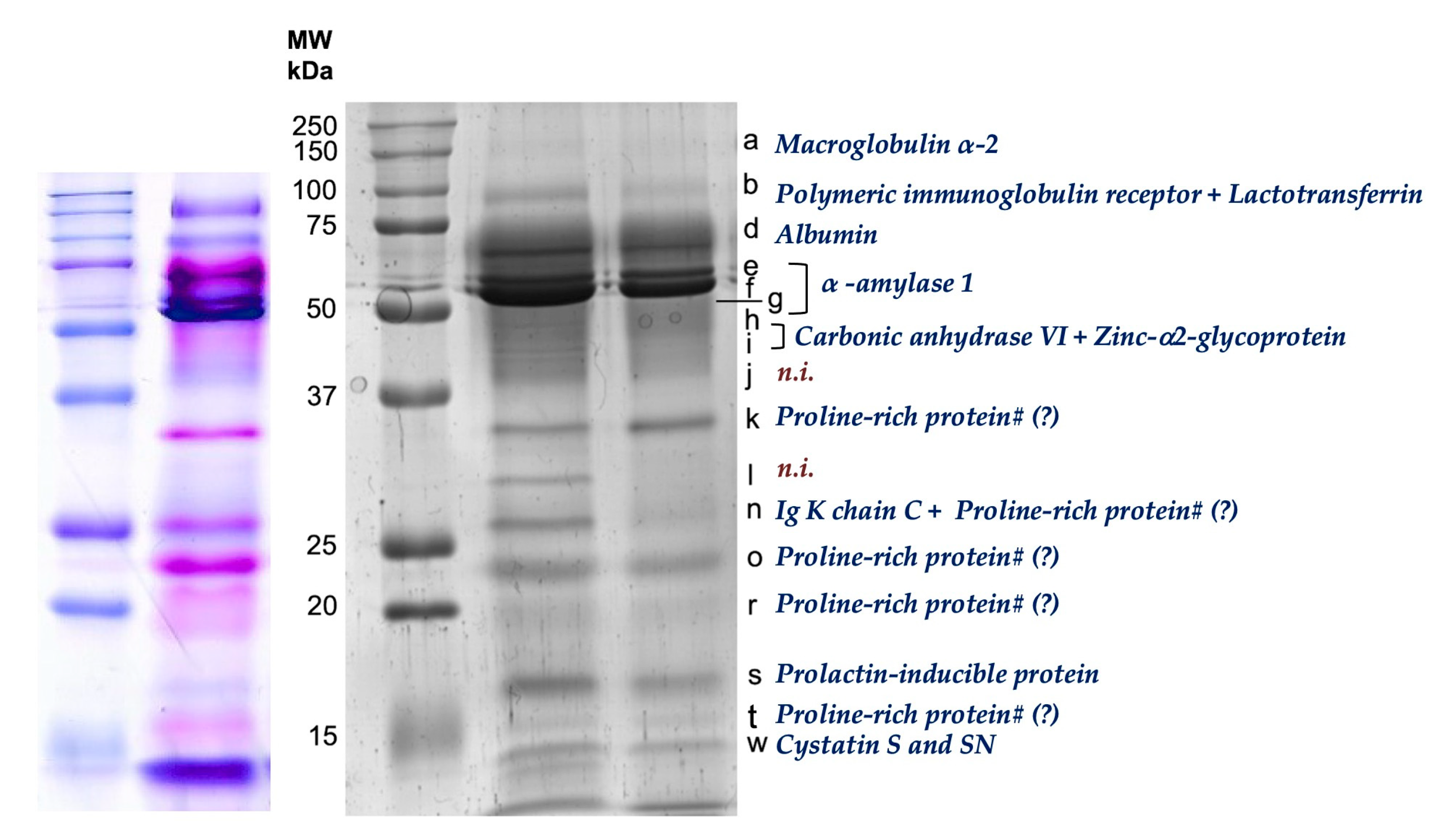 Foods 12 02540 g002 Foods 12 02540 g002