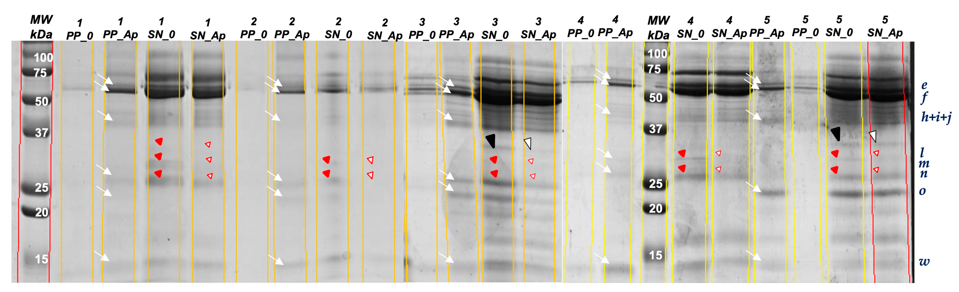 Foods 12 02540 g003 Foods 12 02540 g003