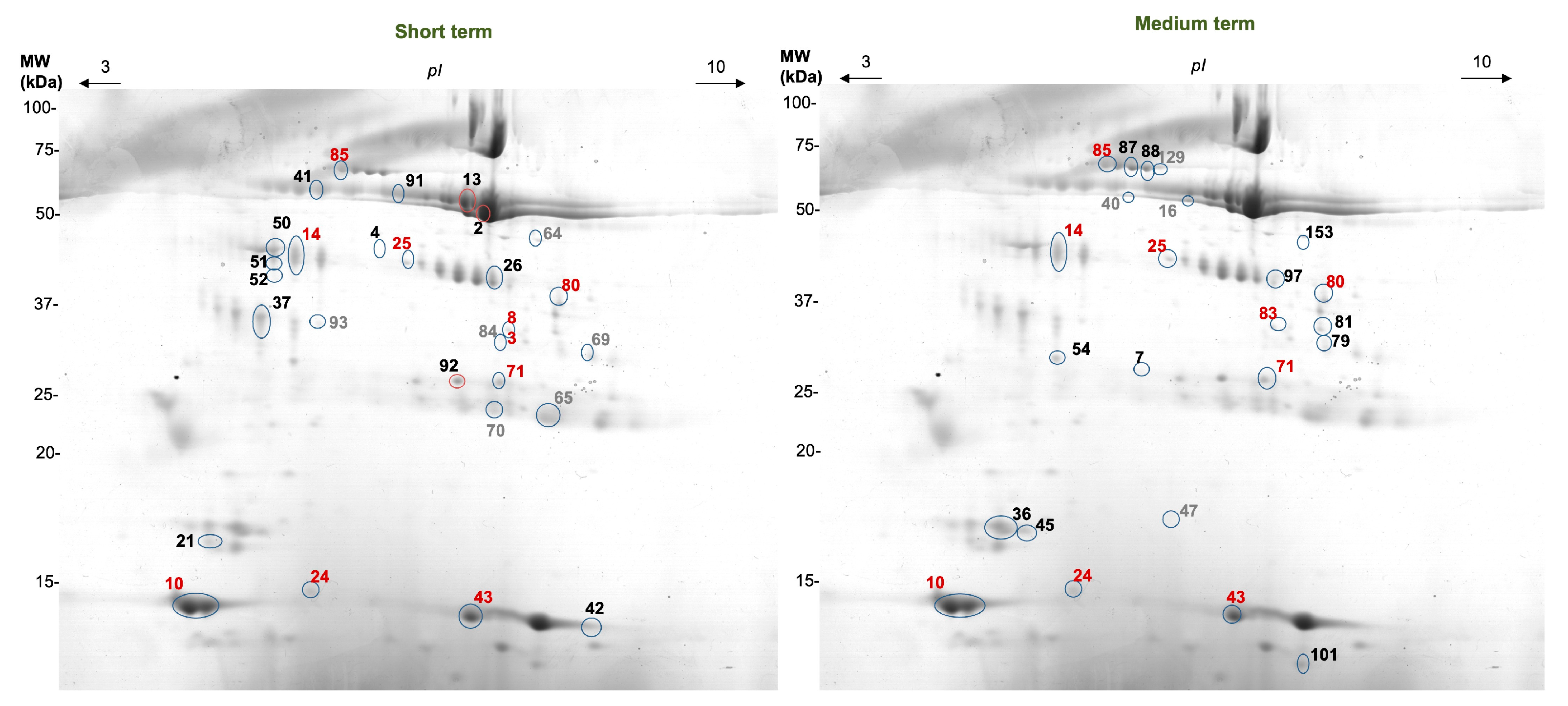 Foods 12 02540 g004 Foods 12 02540 g004