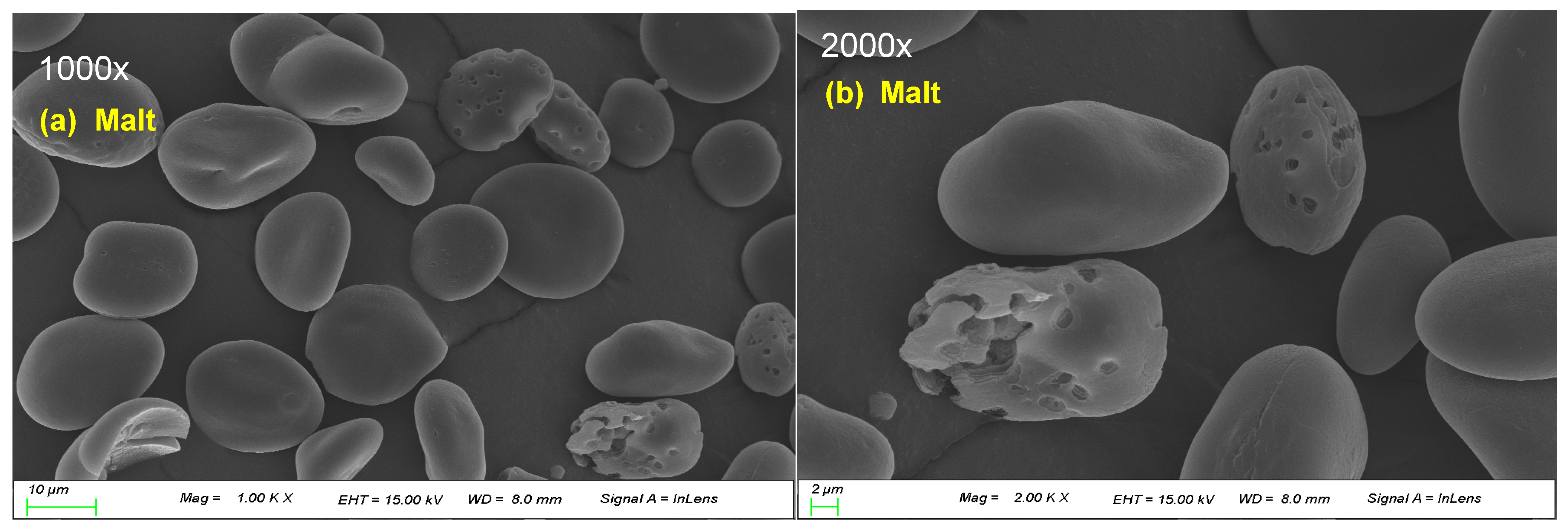 Foods 12 02544 g001a