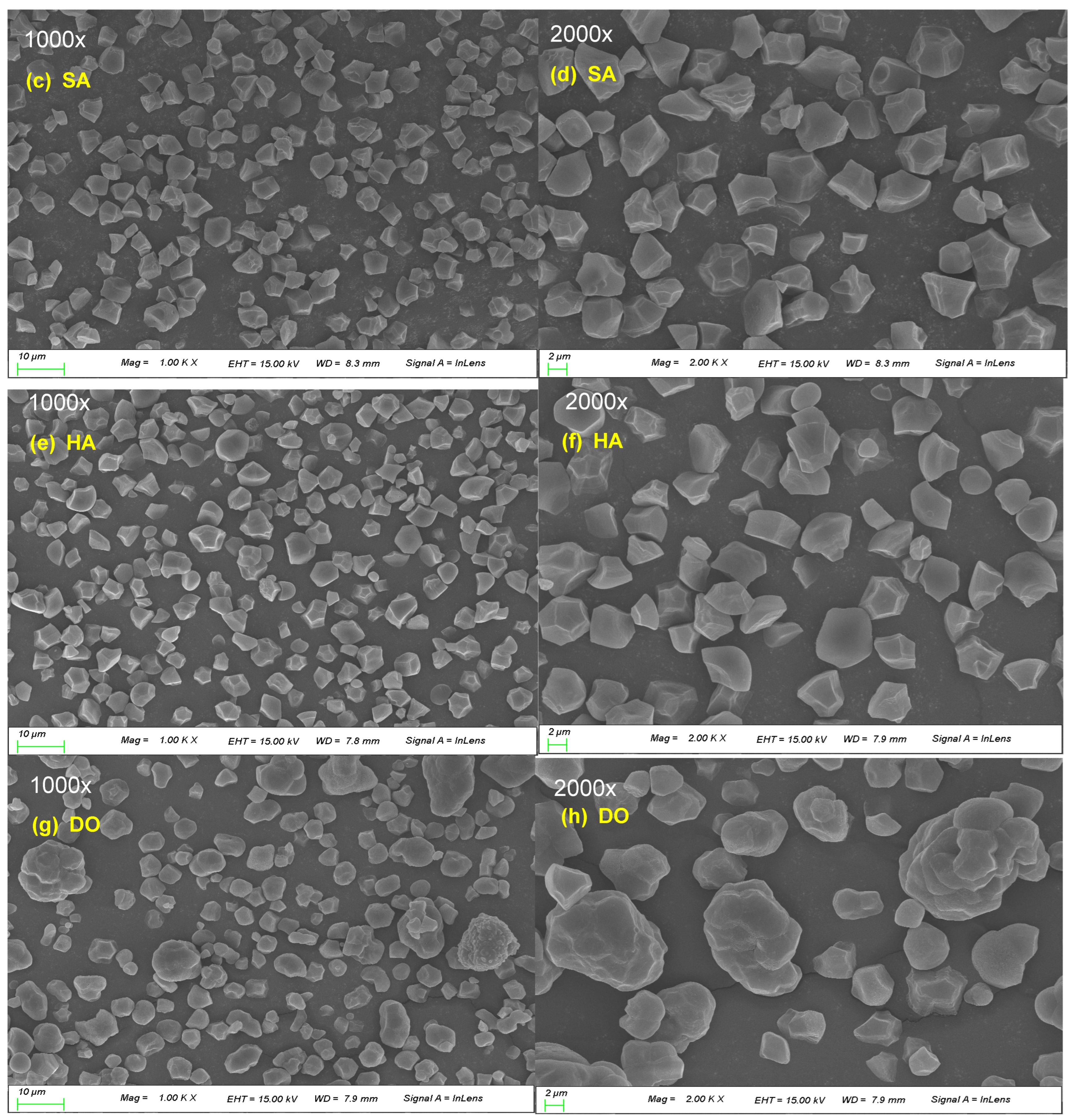 Foods 12 02544 g001b