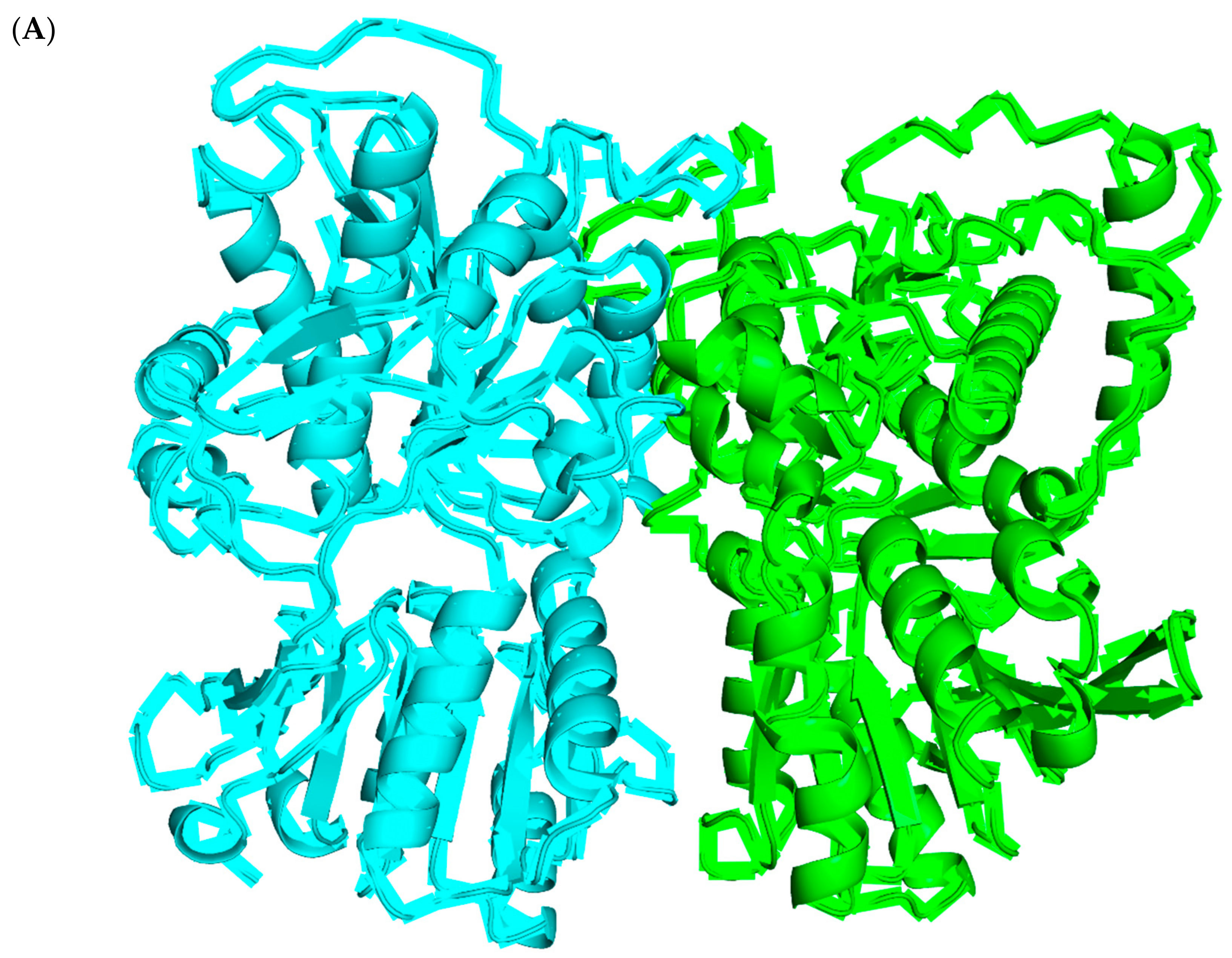 Foods 12 02563 g004a