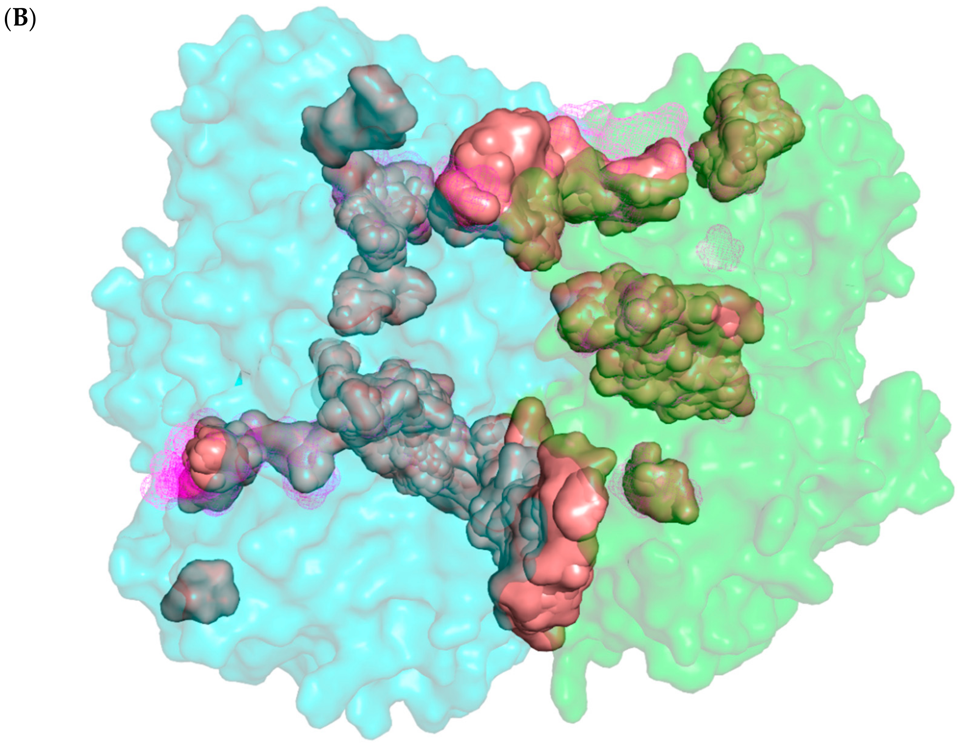 Foods 12 02563 g004b