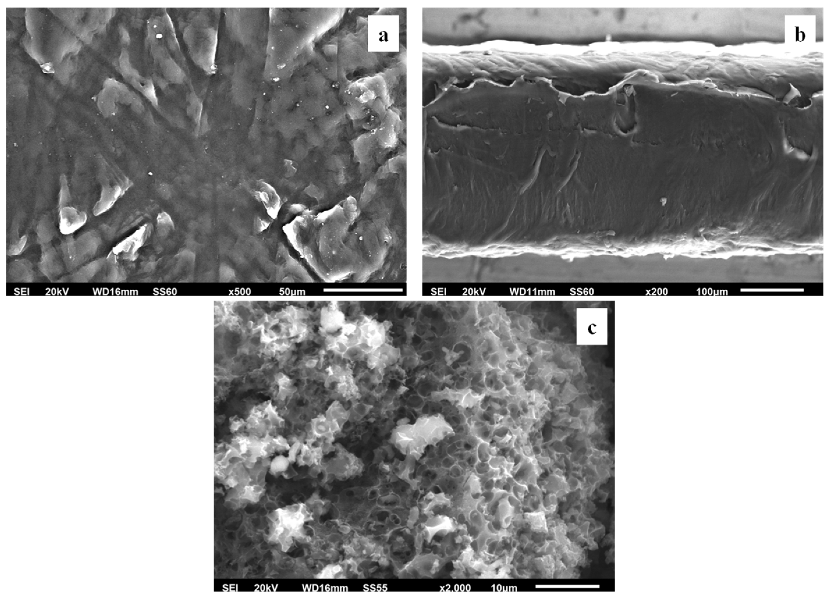 Foods 12 02590 g006 Foods 12 02590 g006
