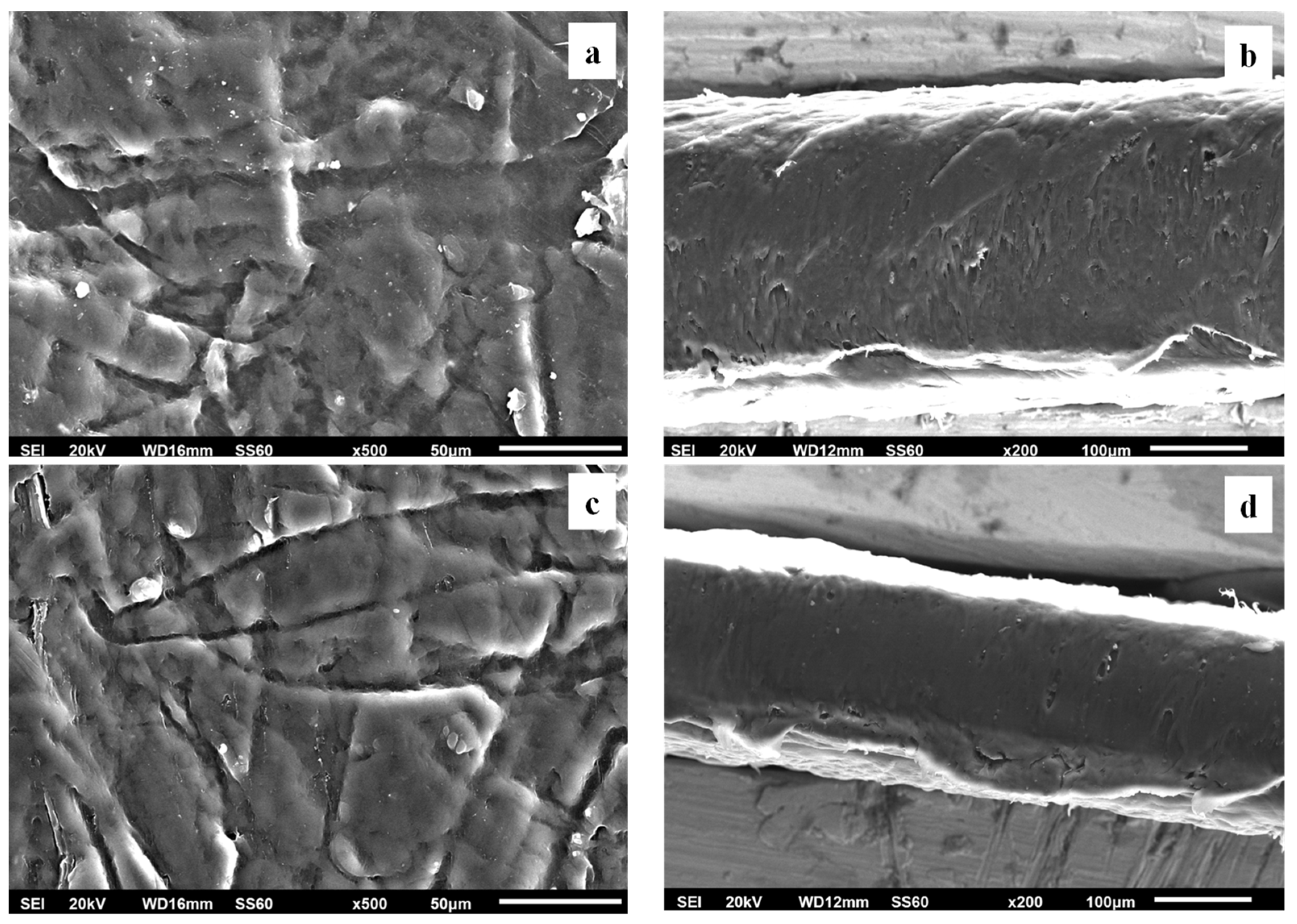 Foods 12 02590 g007 Foods 12 02590 g007