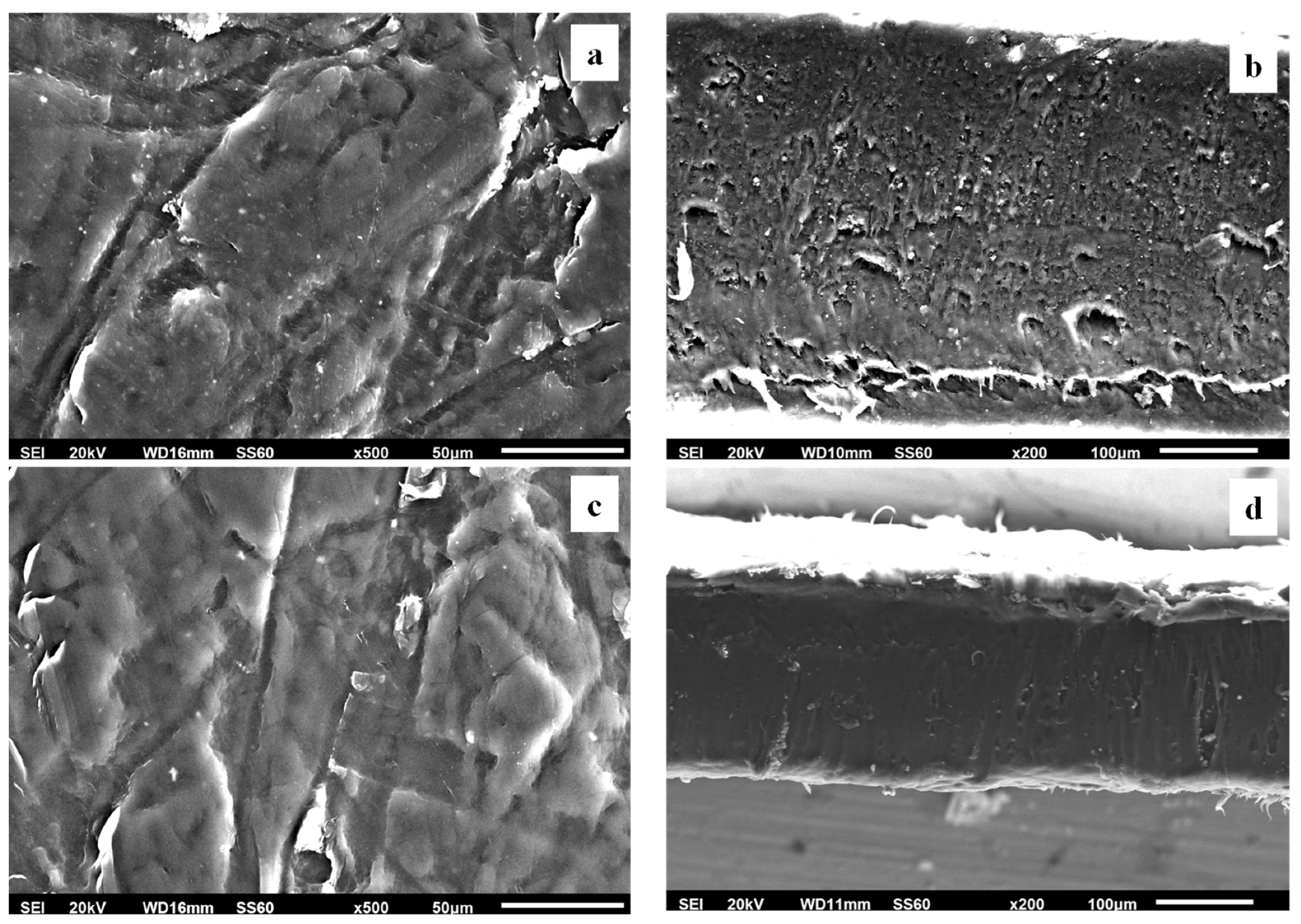 Foods 12 02590 g008 Foods 12 02590 g008