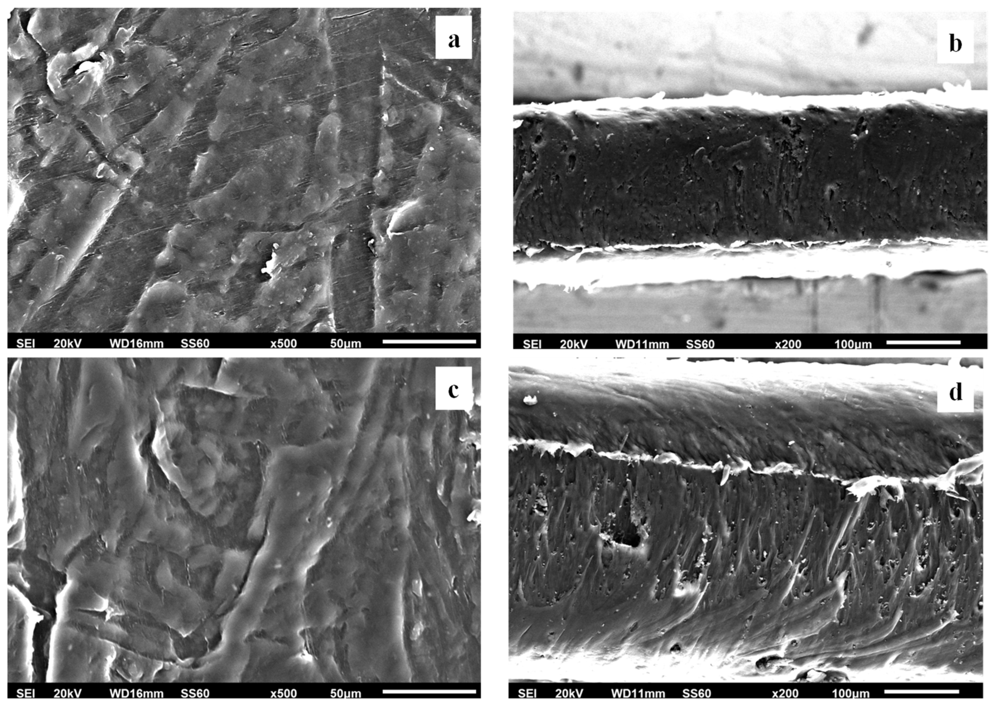 Foods 12 02590 g009 Foods 12 02590 g009