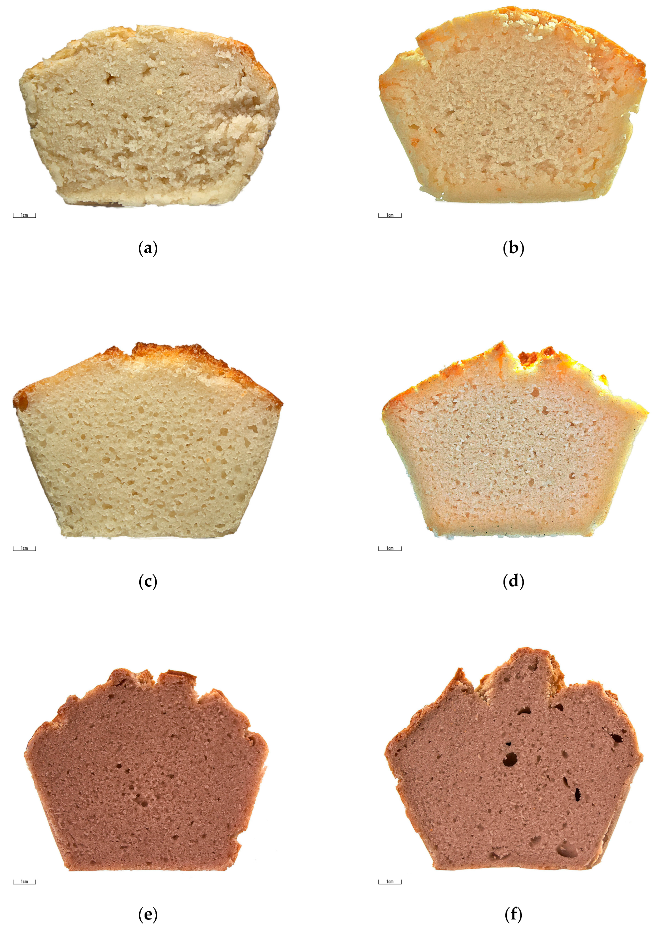 Foods 12 02604 g002a Foods 12 02604 g002a