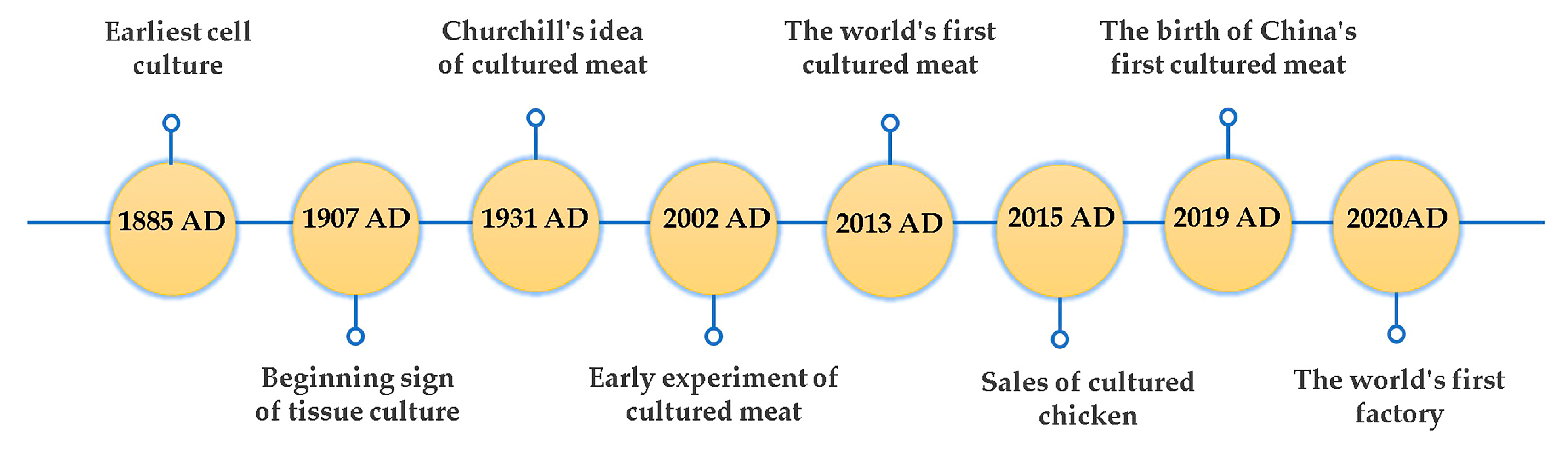 Foods 12 02614 g001 Foods 12 02614 g001