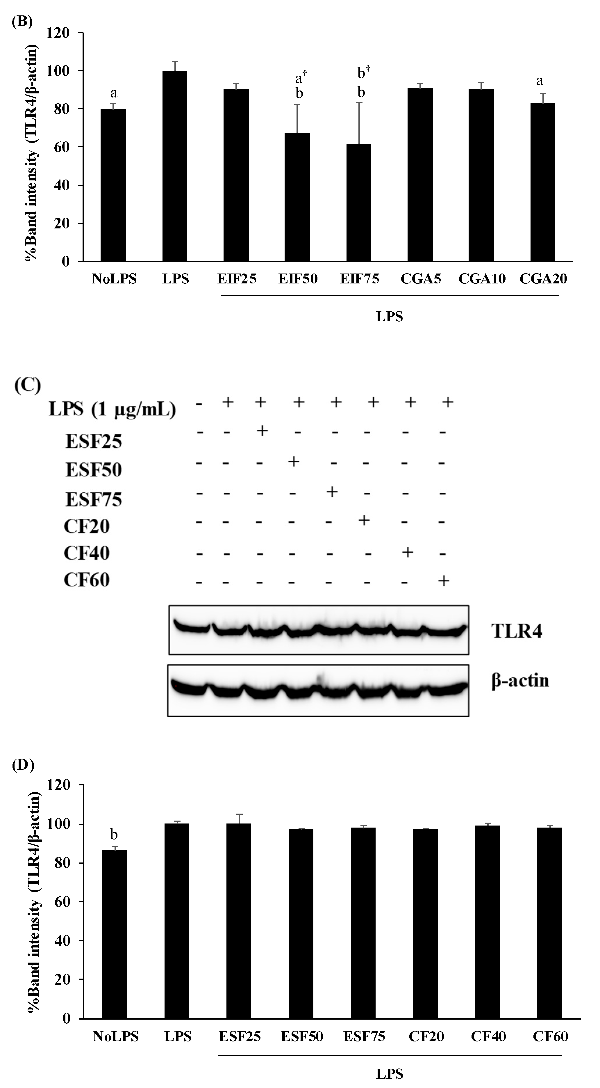 Foods 12 02648 g003b