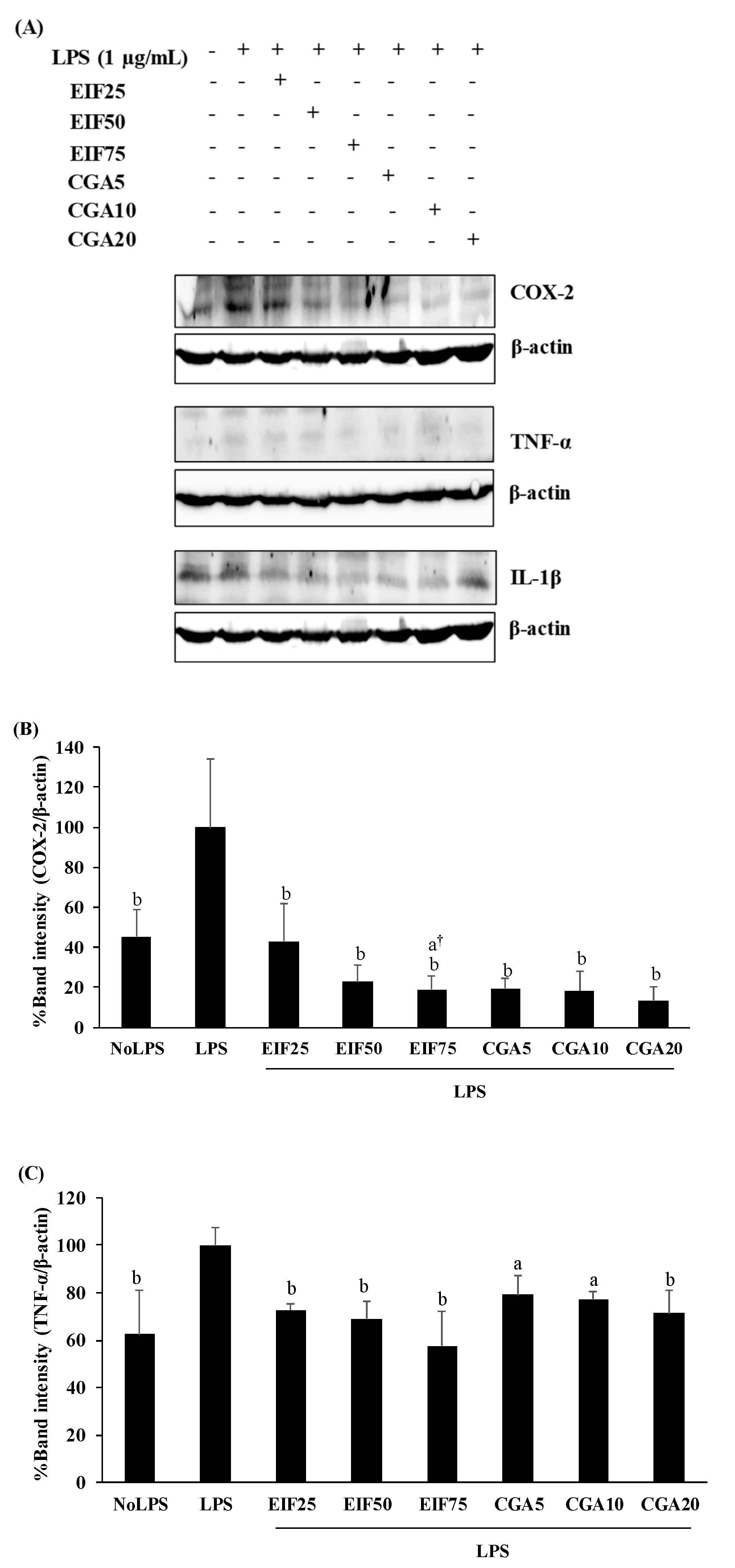 Foods 12 02648 g004a