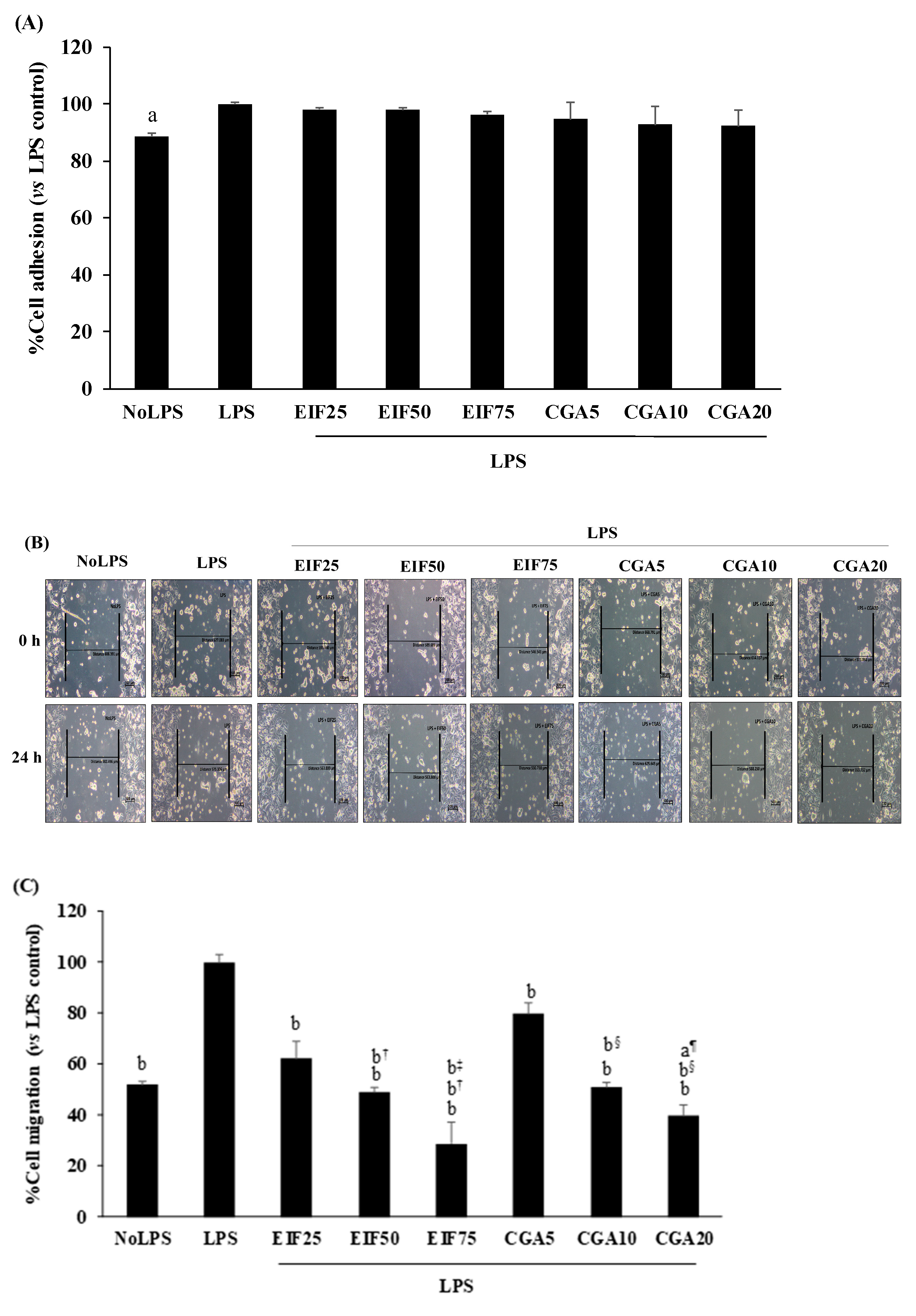 Foods 12 02648 g006a