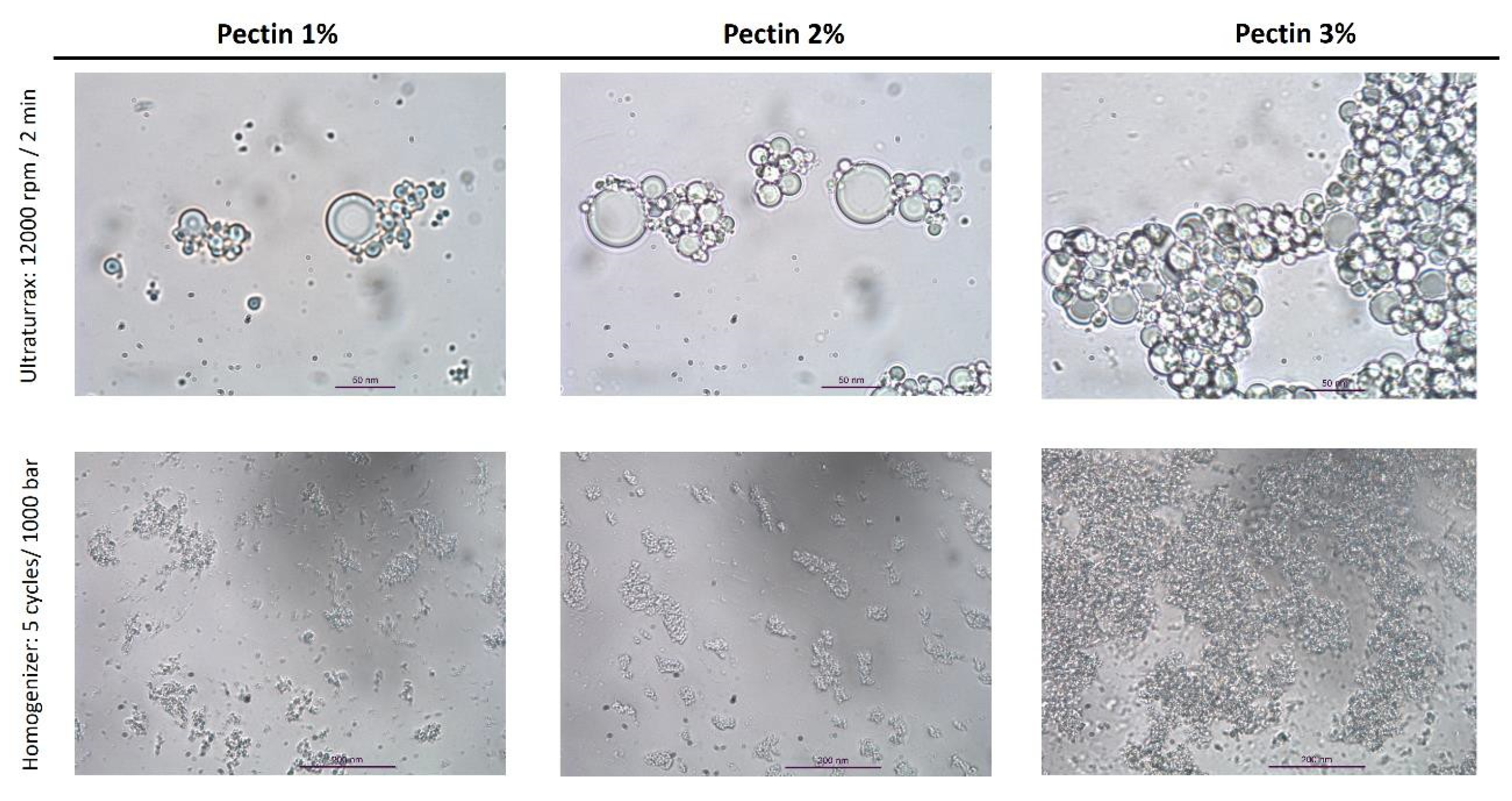 Foods 12 02654 g003 Foods 12 02654 g003
