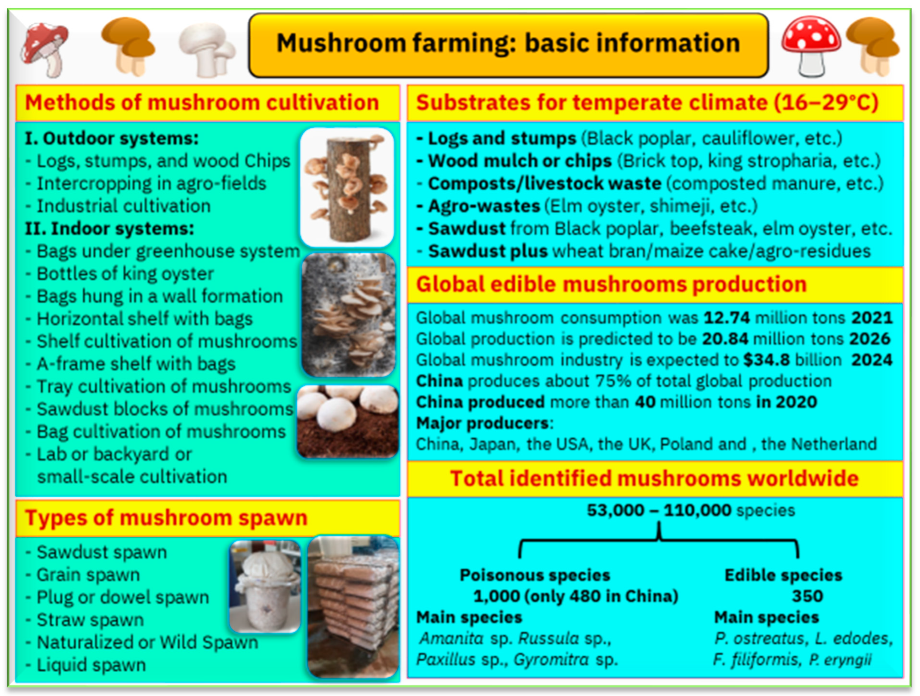 Foods 12 02671 g003 Foods 12 02671 g003