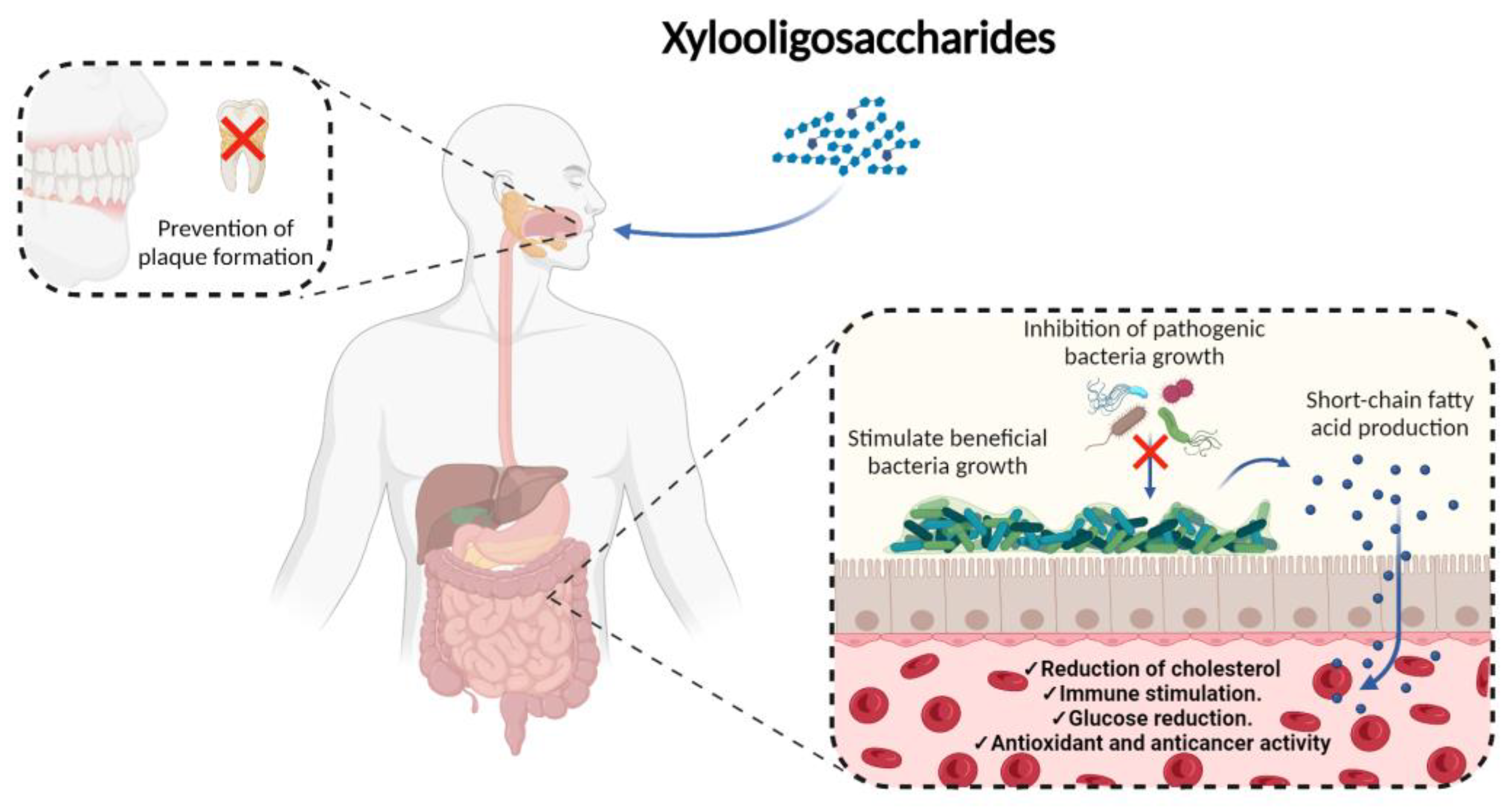Foods 12 02681 g001 Foods 12 02681 g001