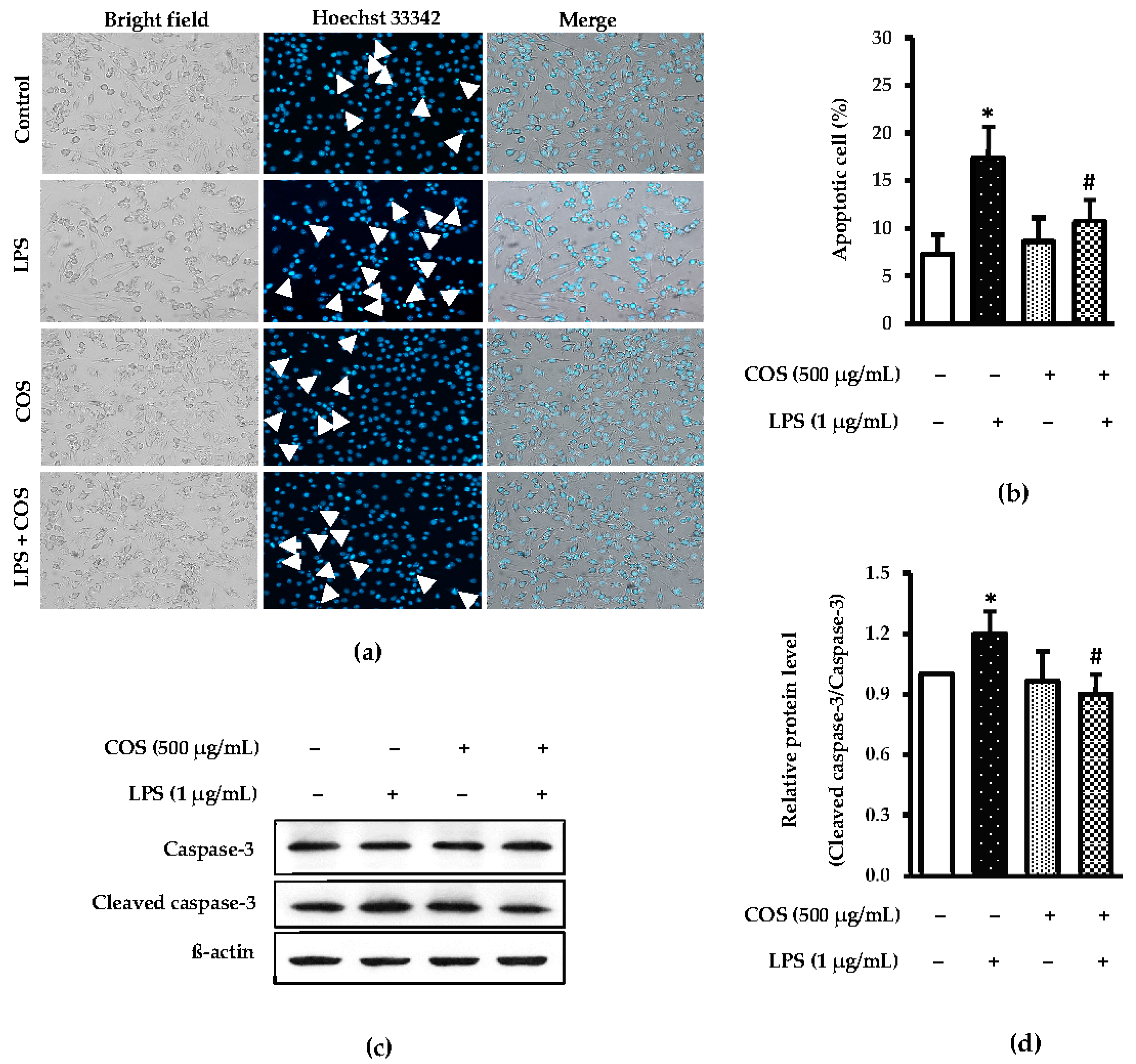 Foods 12 02740 g003 Foods 12 02740 g003
