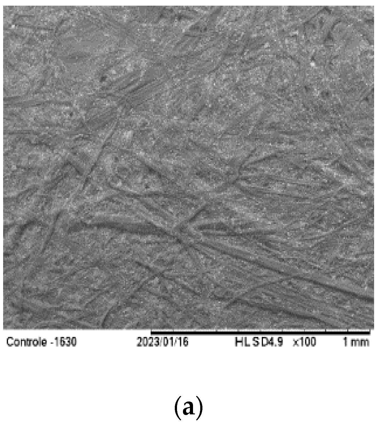 Foods 12 02745 g001a