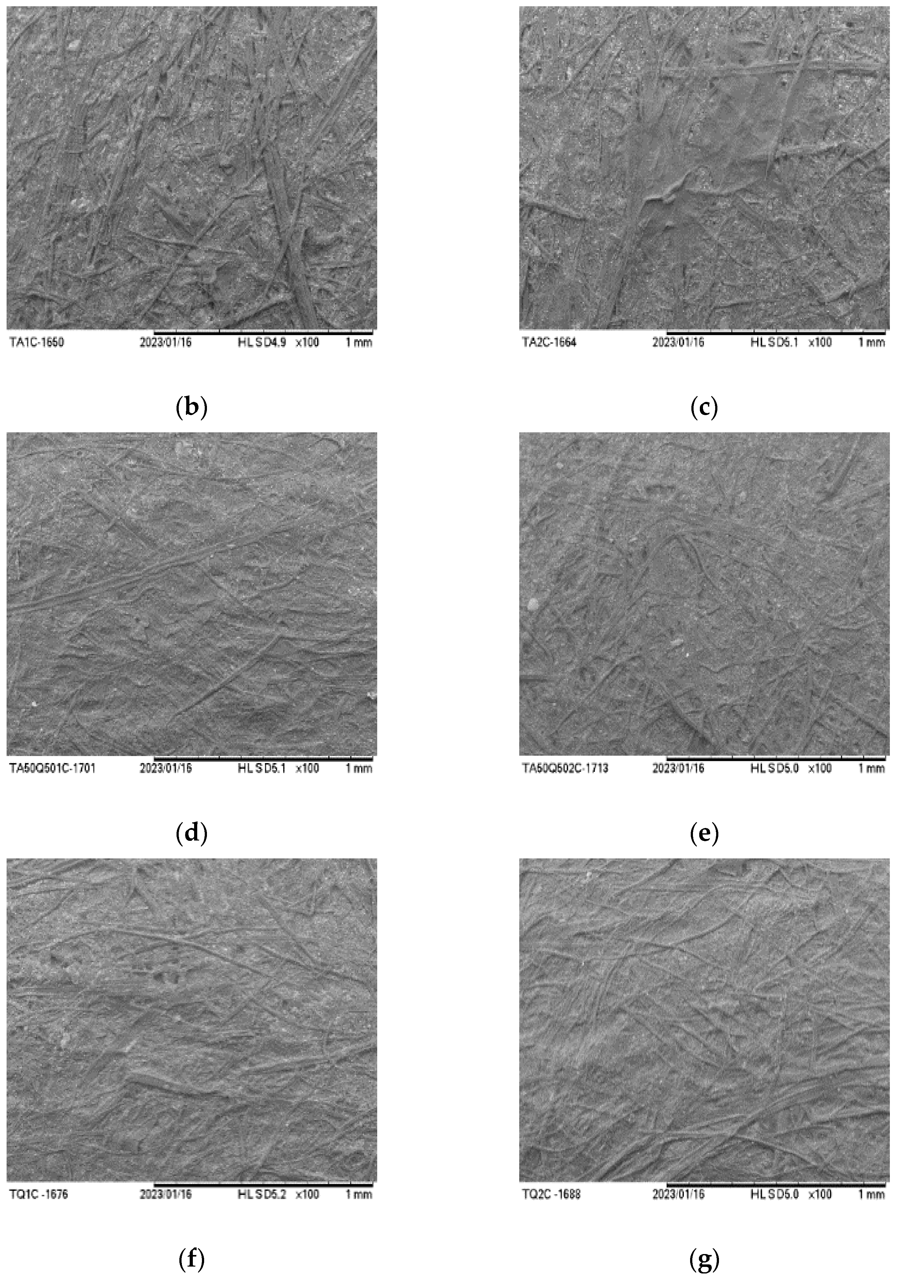 Foods 12 02745 g001b