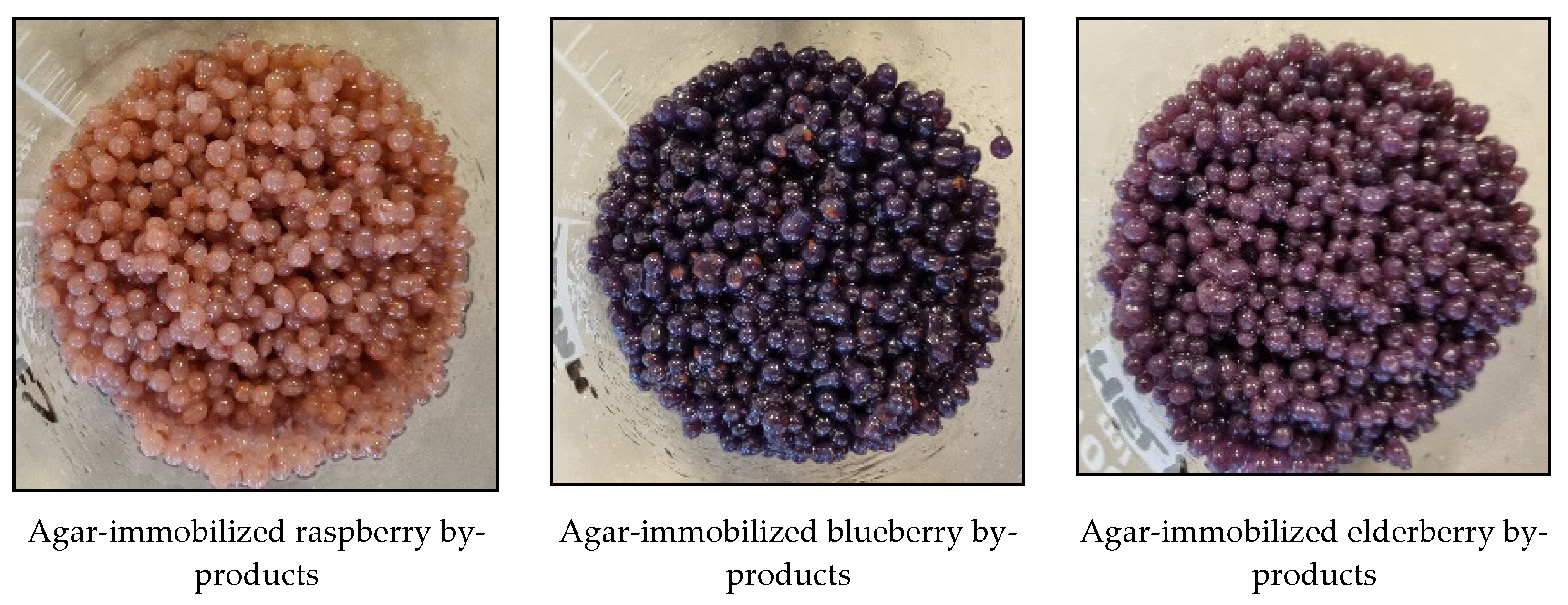 Foods 12 02860 g002b