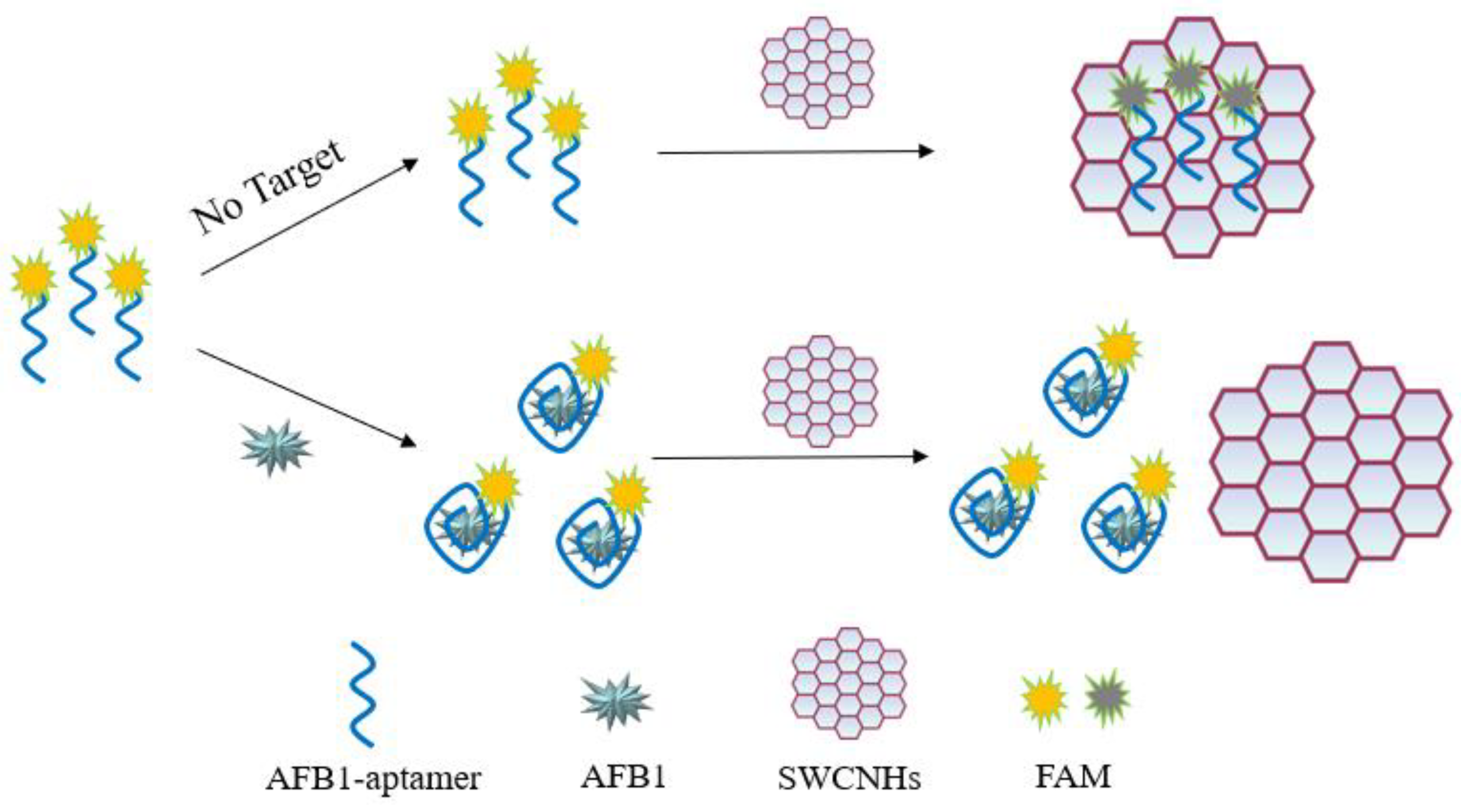 Foods 12 02880 sch001