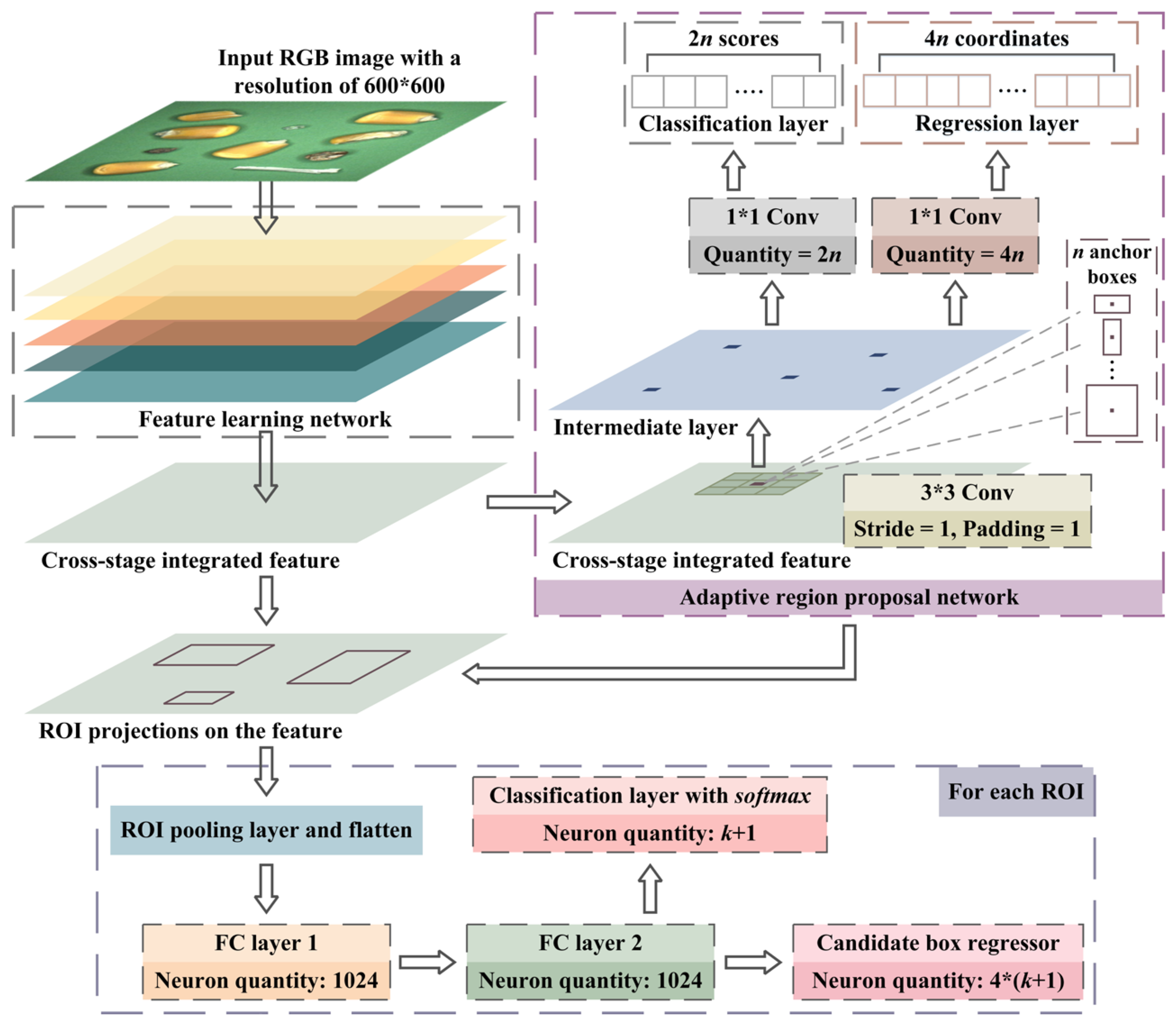 Foods 12 02885 g001 Foods 12 02885 g001