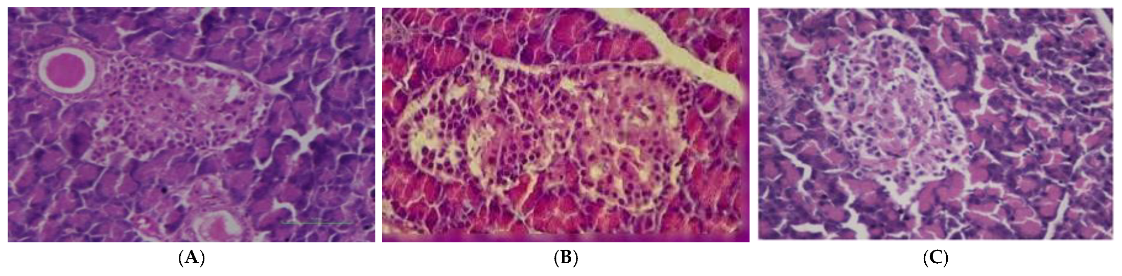 Foods 12 02911 g004 Foods 12 02911 g004