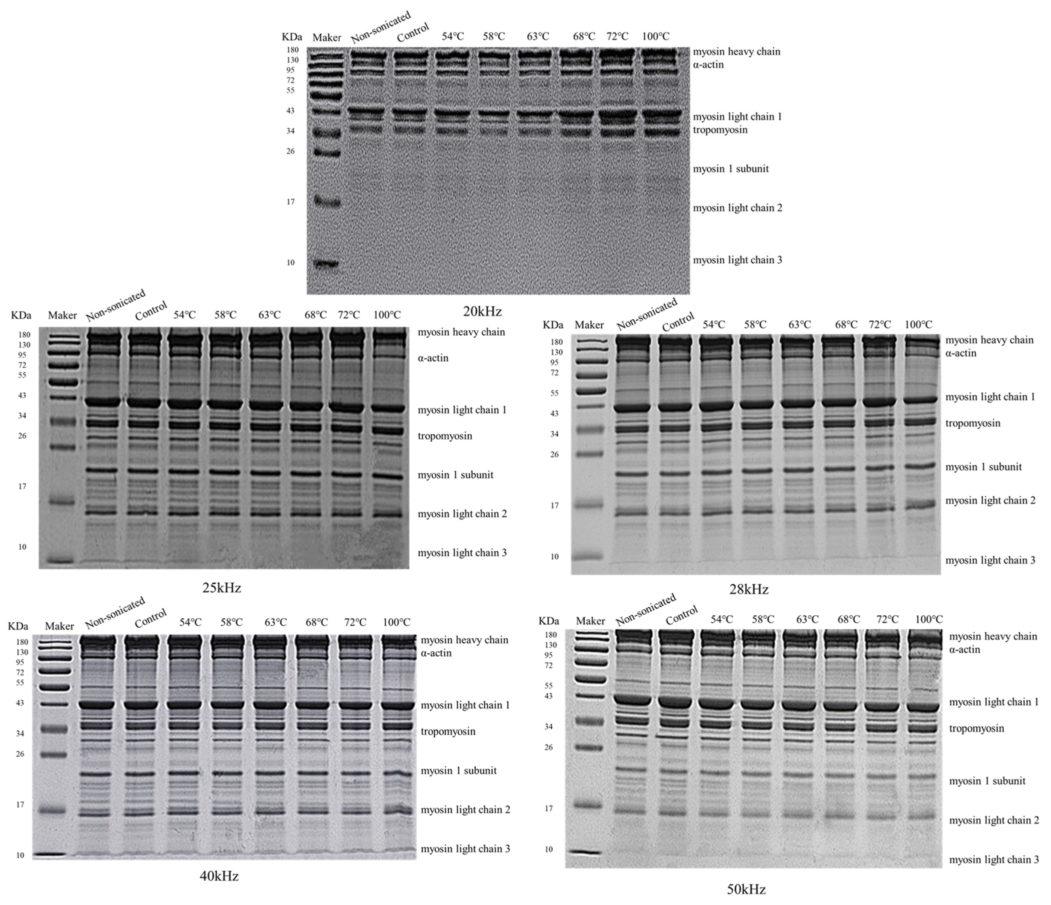 Foods 12 02926 g004 Foods 12 02926 g004