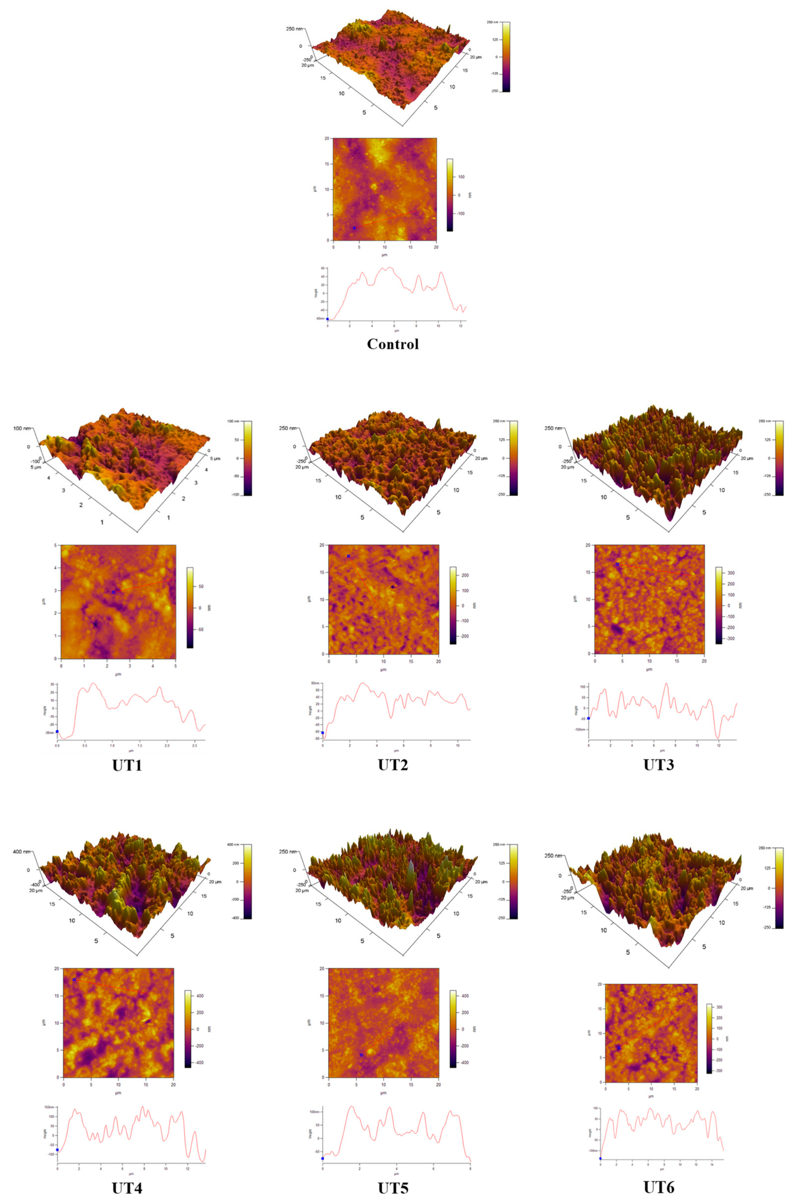 Foods 12 02926 g007 Foods 12 02926 g007