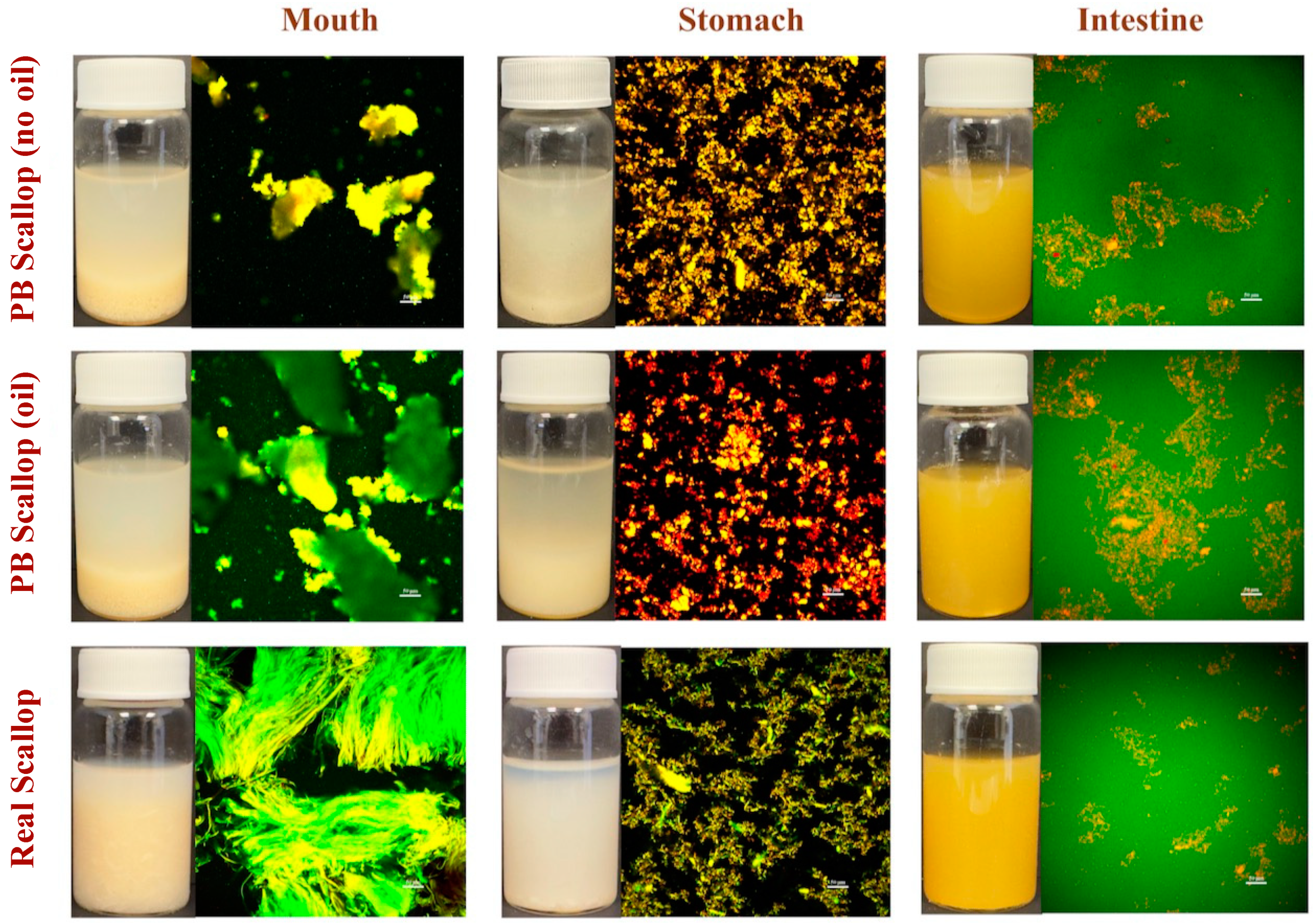 Foods 12 02928 g004 Foods 12 02928 g004