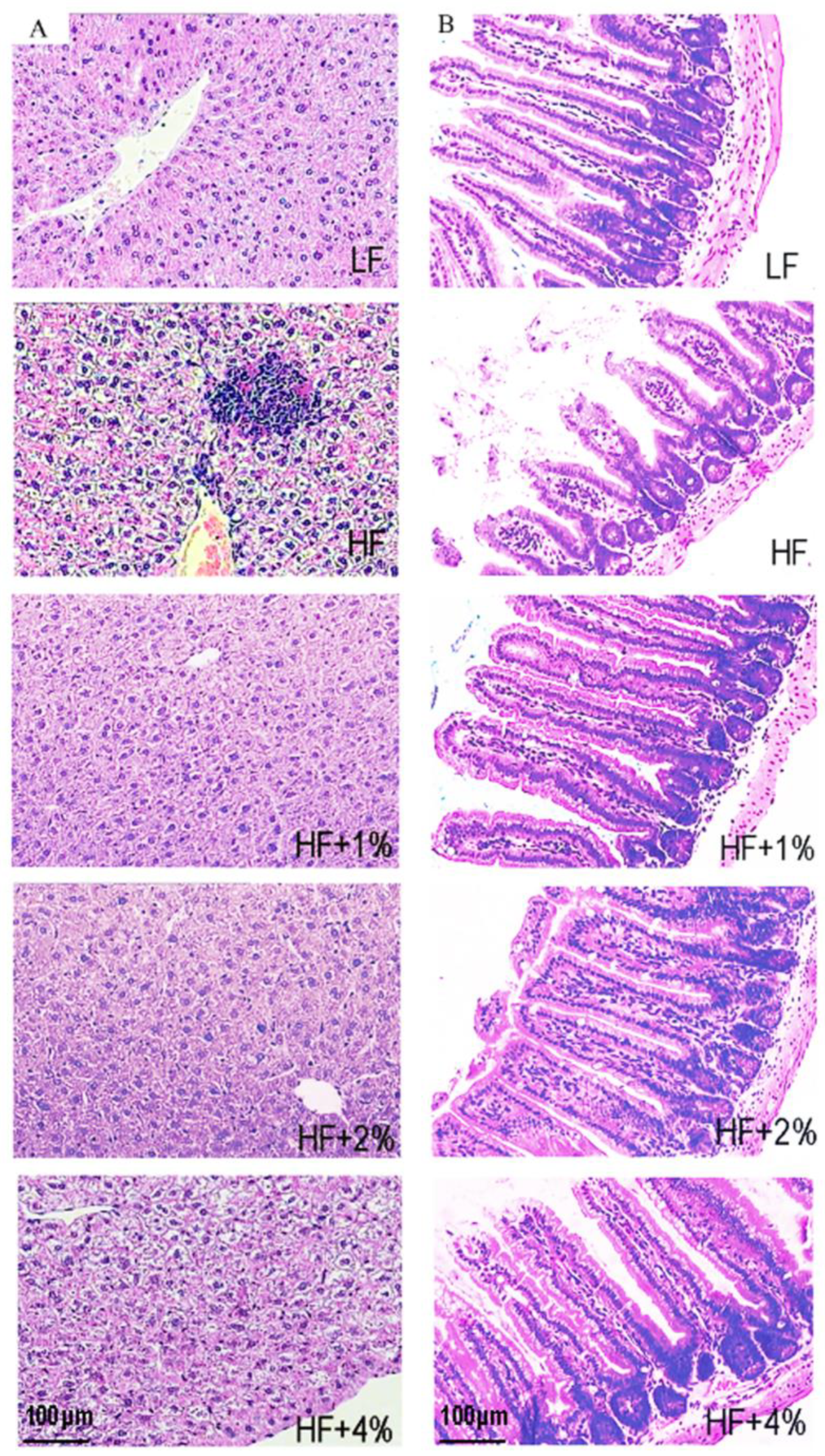 Foods 12 02953 g002 Foods 12 02953 g002