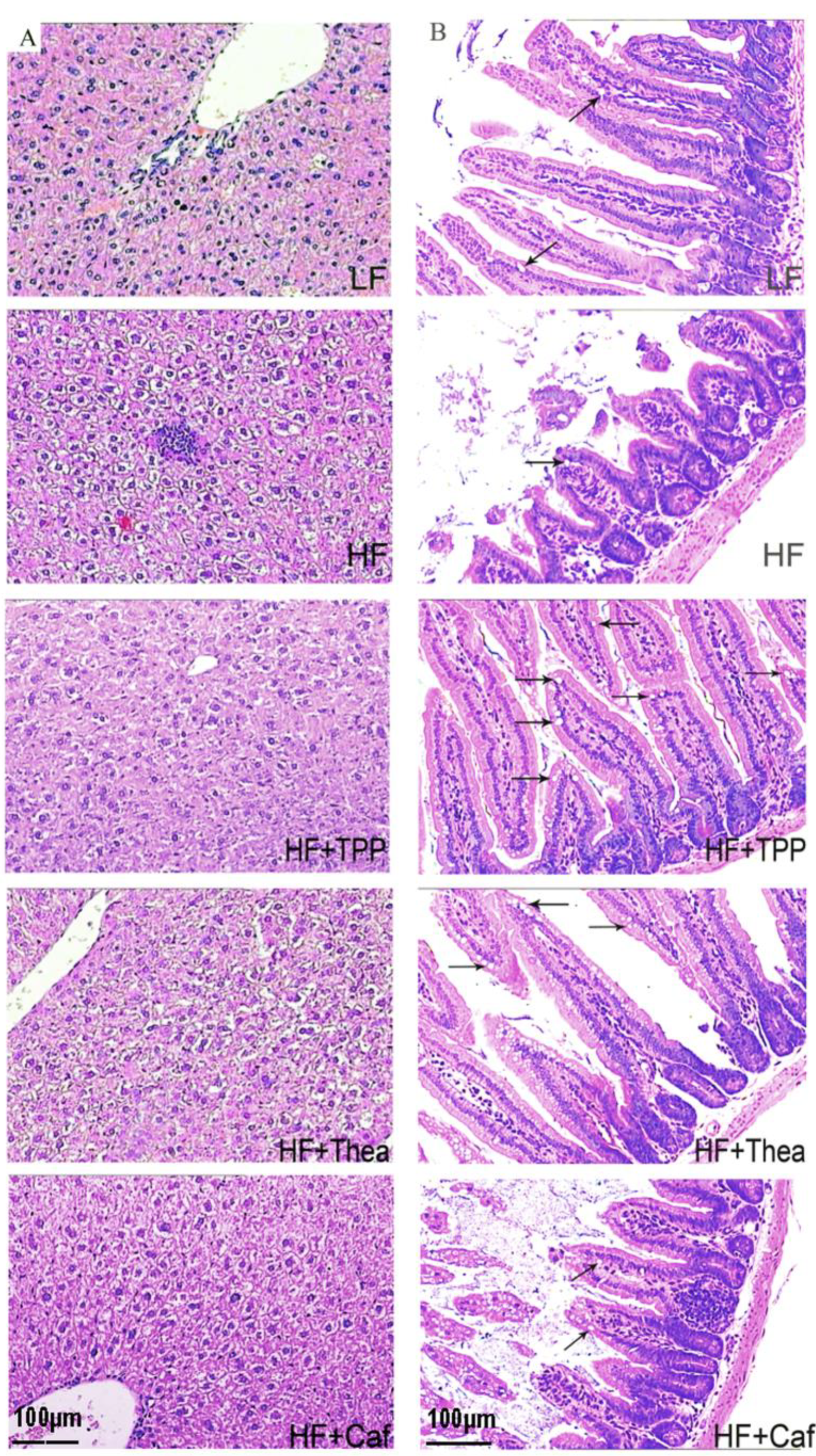 Foods 12 02953 g005 Foods 12 02953 g005
