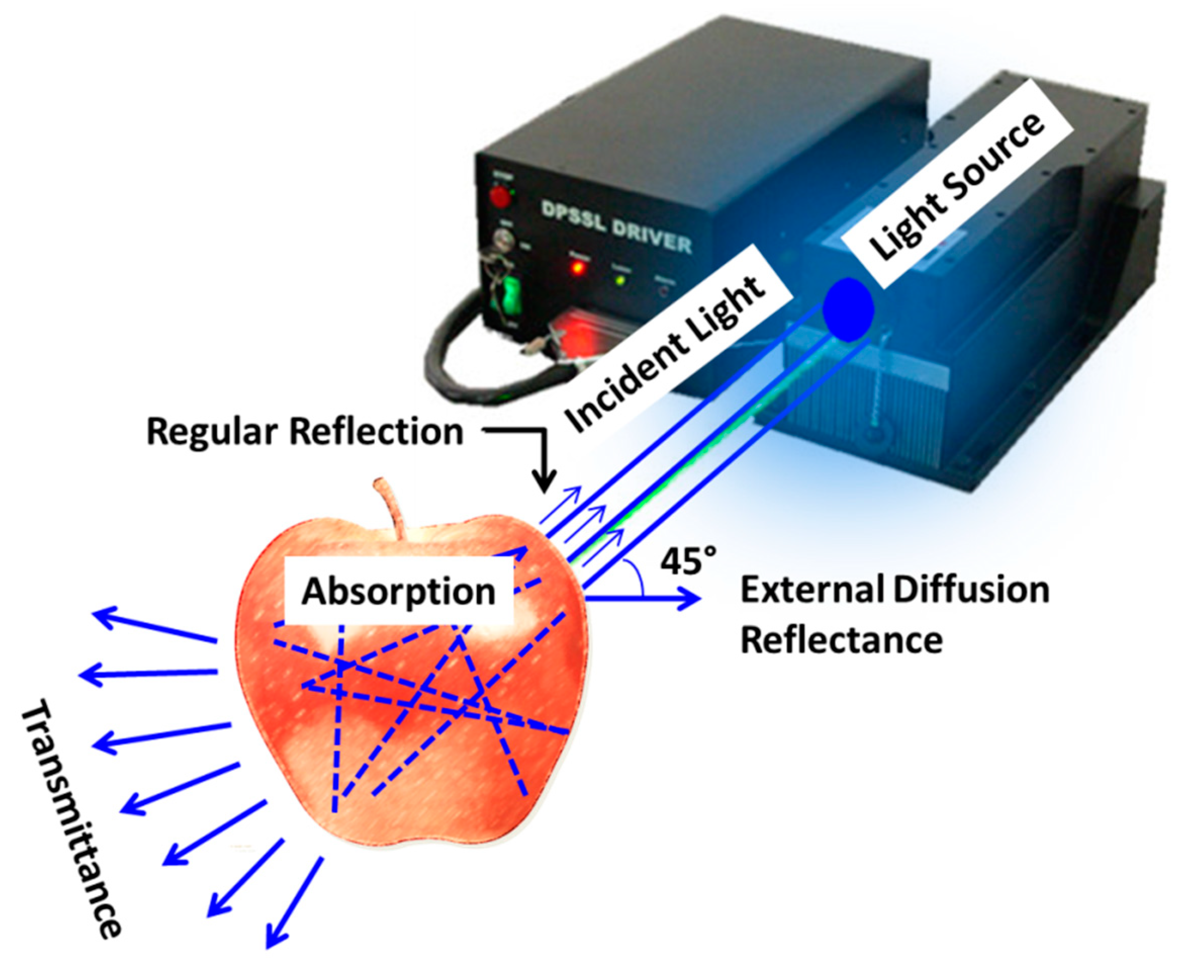 Foods 12 02983 g003 Foods 12 02983 g003