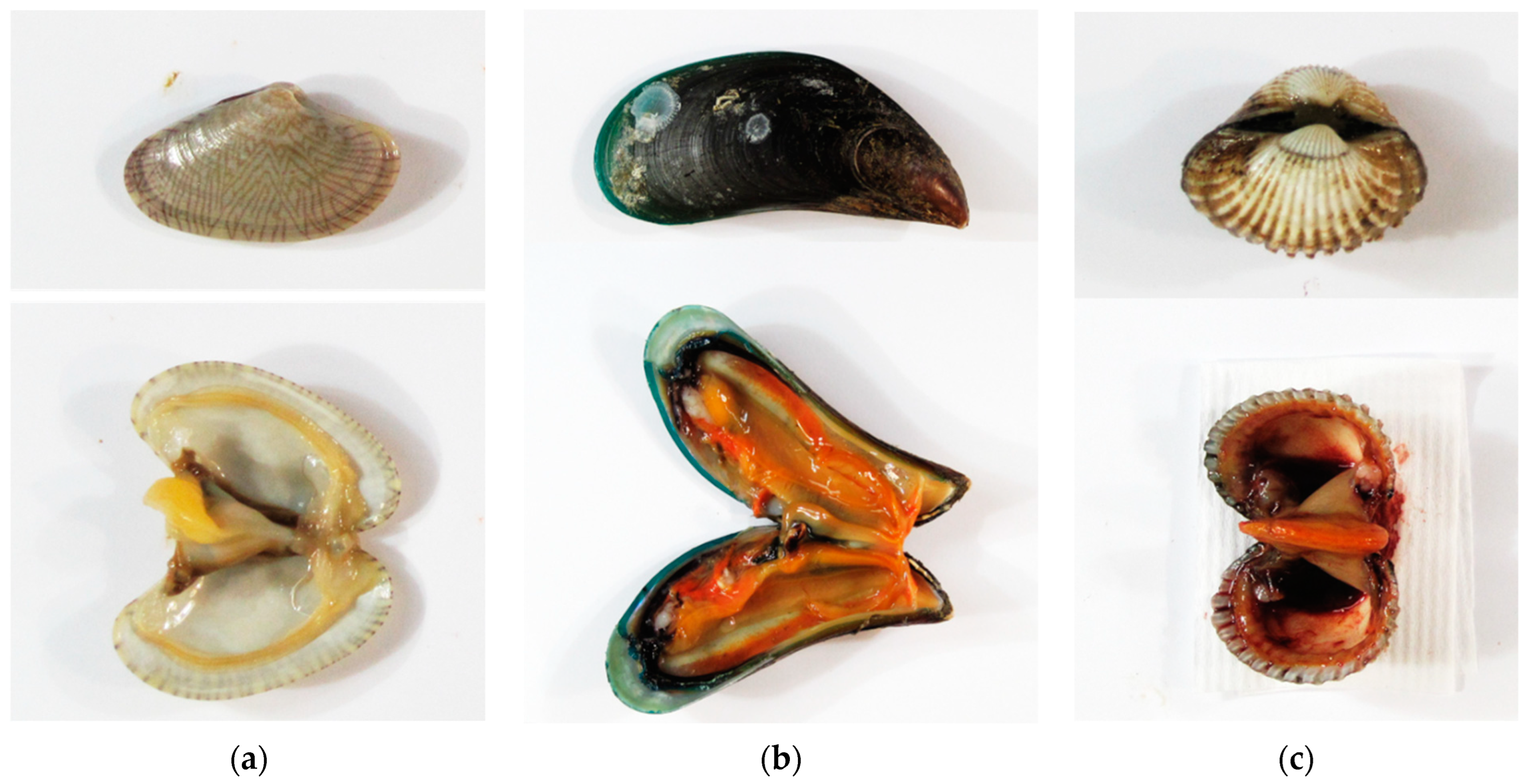 Foods 12 03018 g001 Foods 12 03018 g001