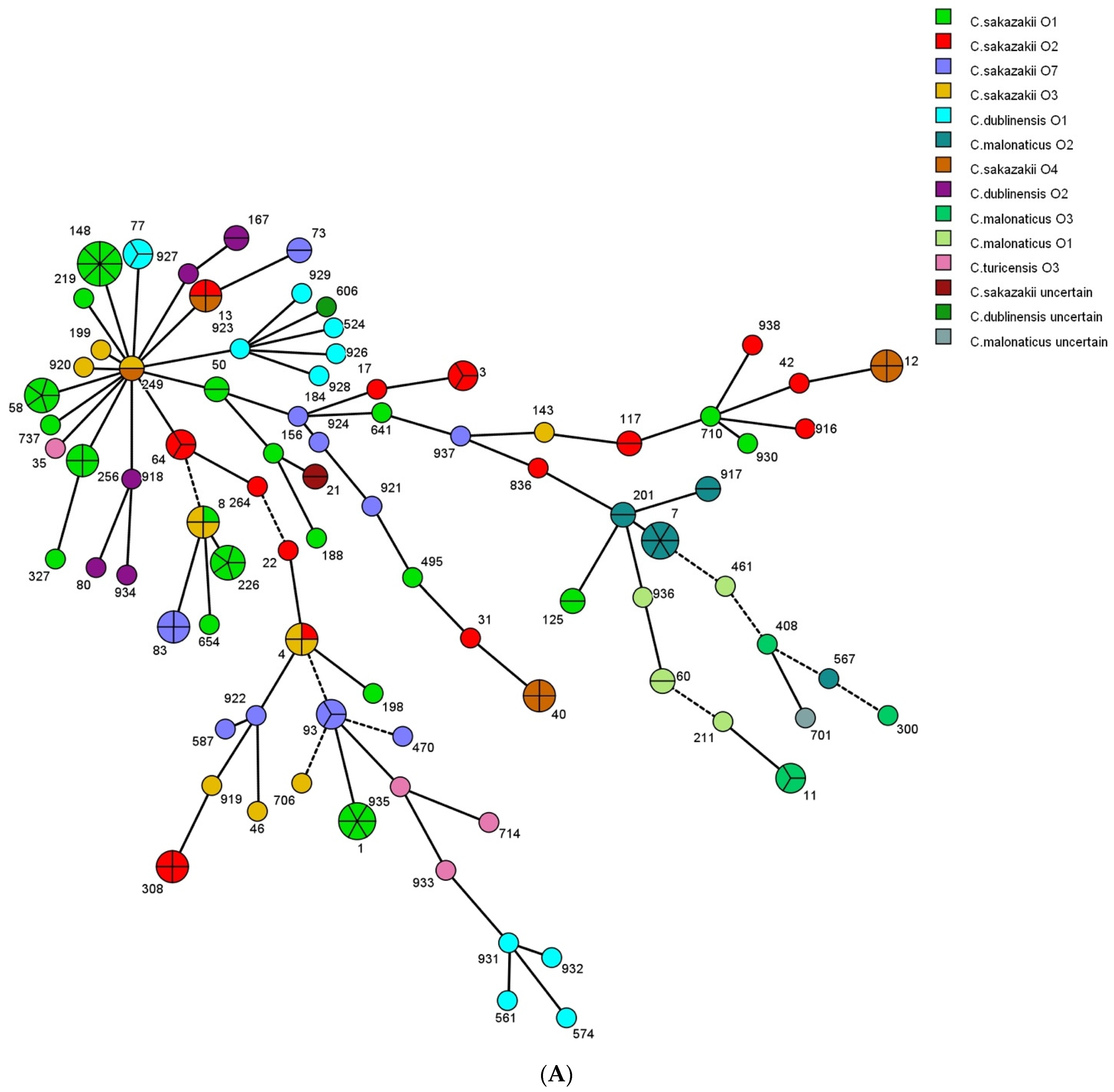 Foods 12 03019 g002a