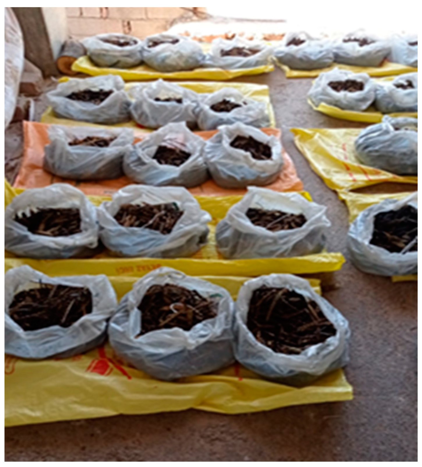 Foods 12 03037 g002 Foods 12 03037 g002