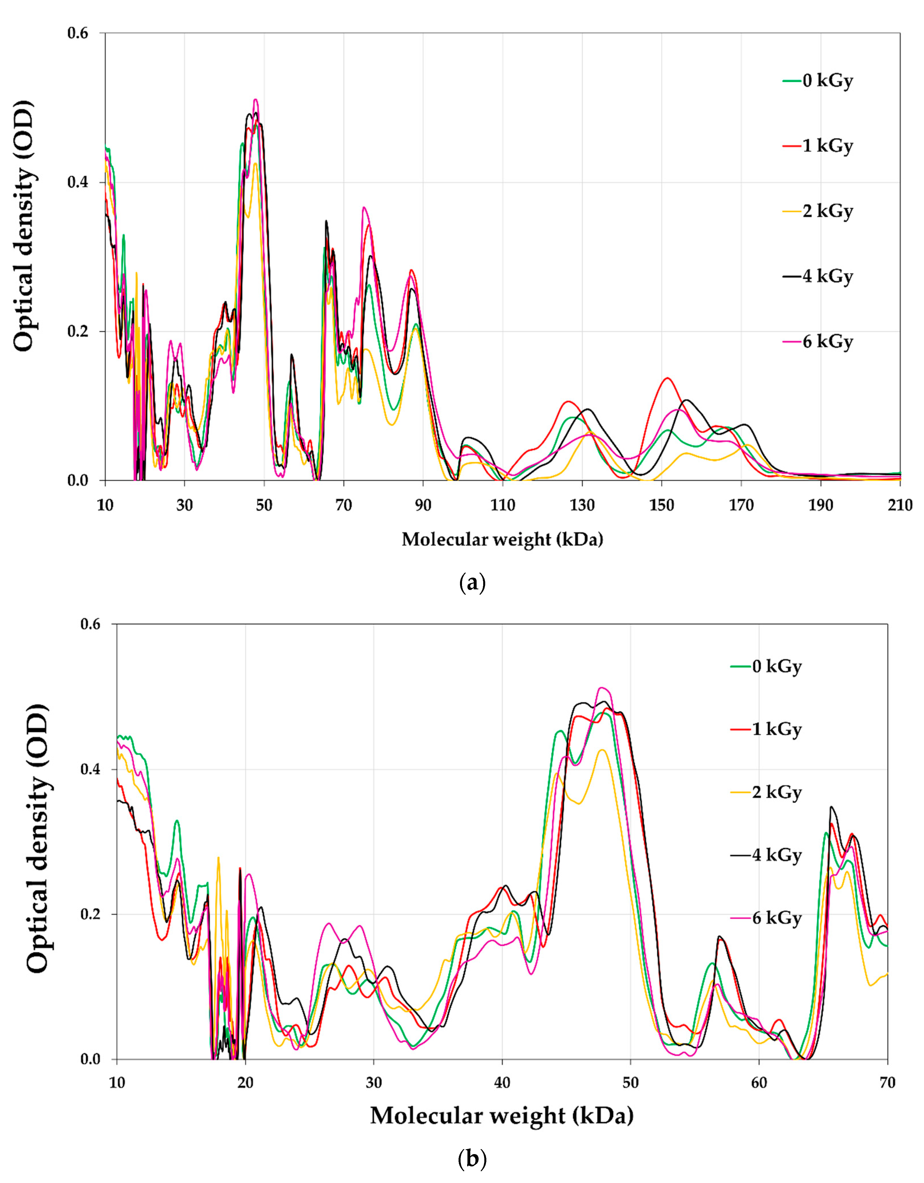 Foods 12 03040 g007a