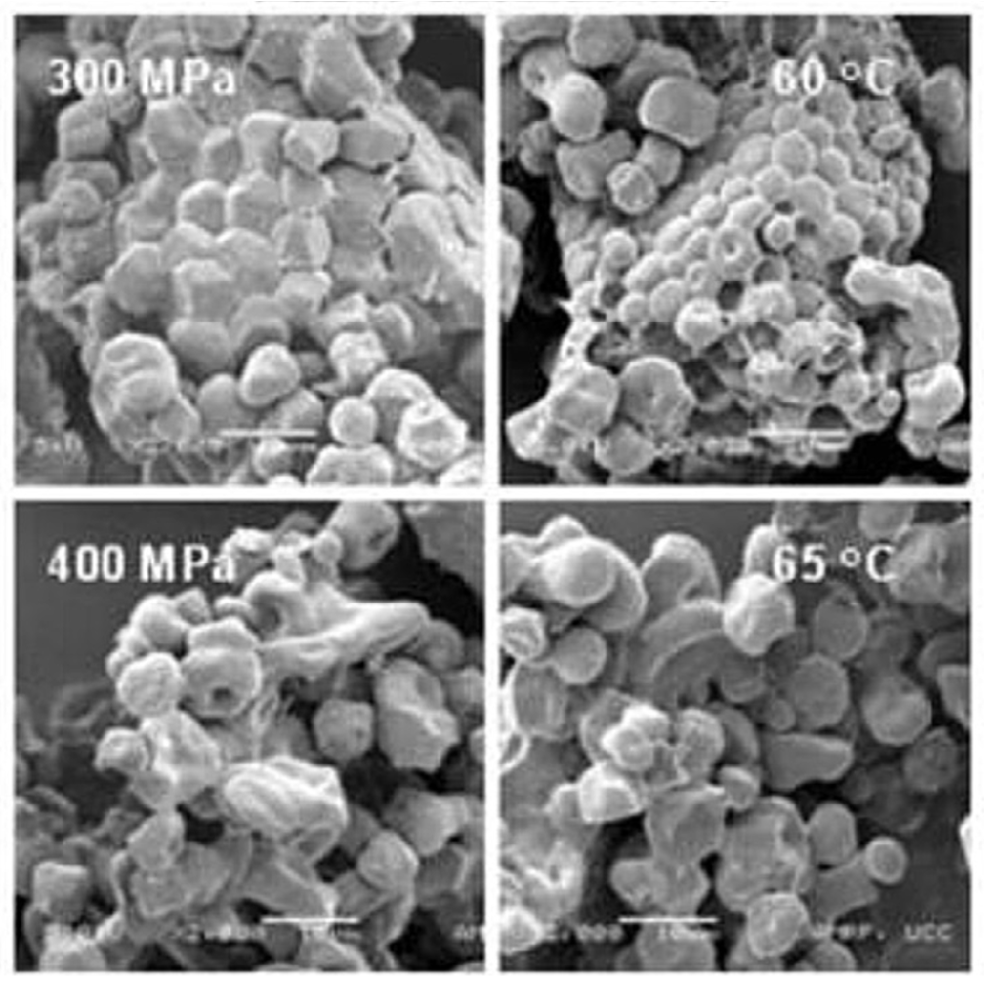 Foods 12 03055 g002 Foods 12 03055 g002