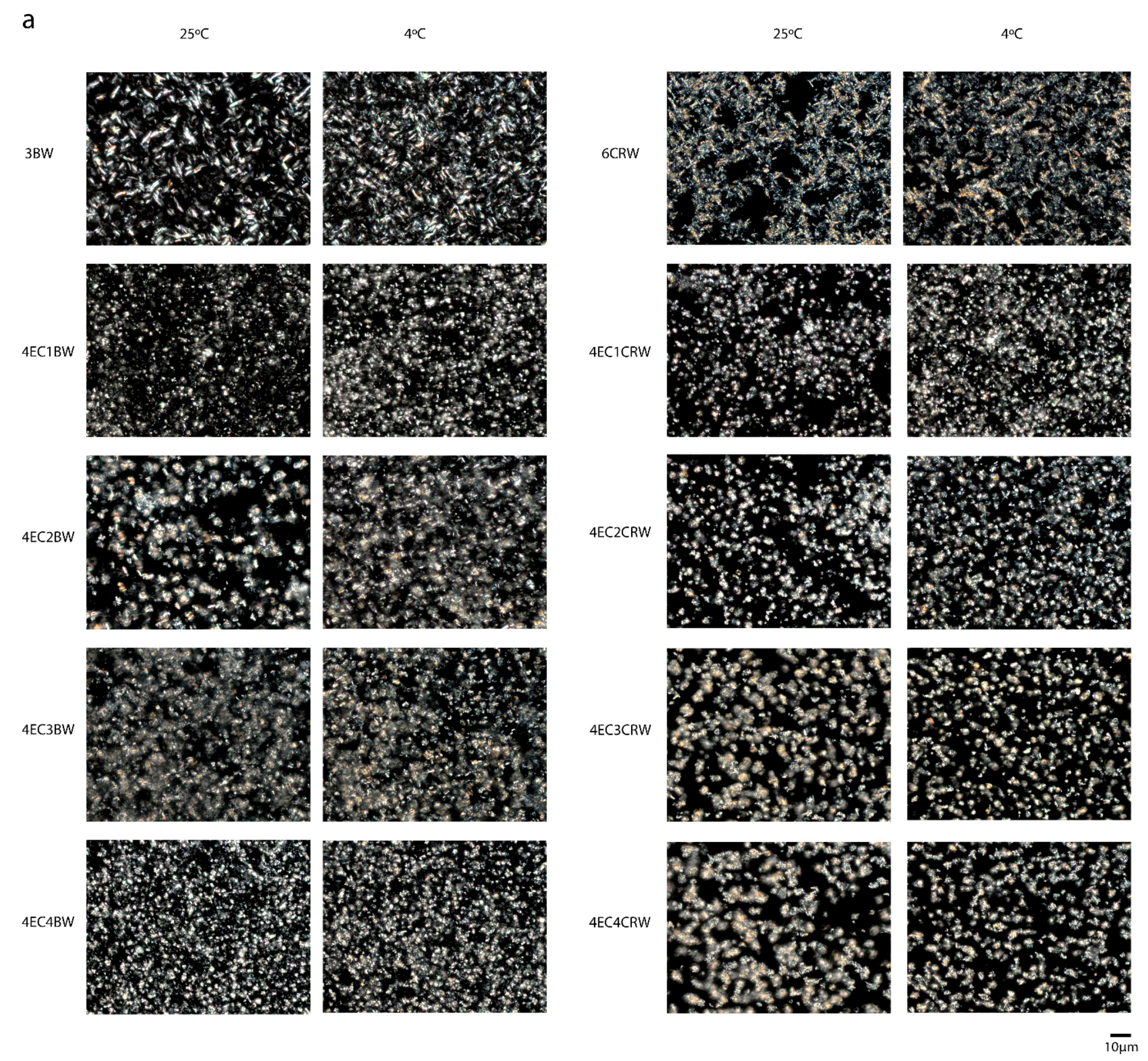 Foods 12 03093 g002a