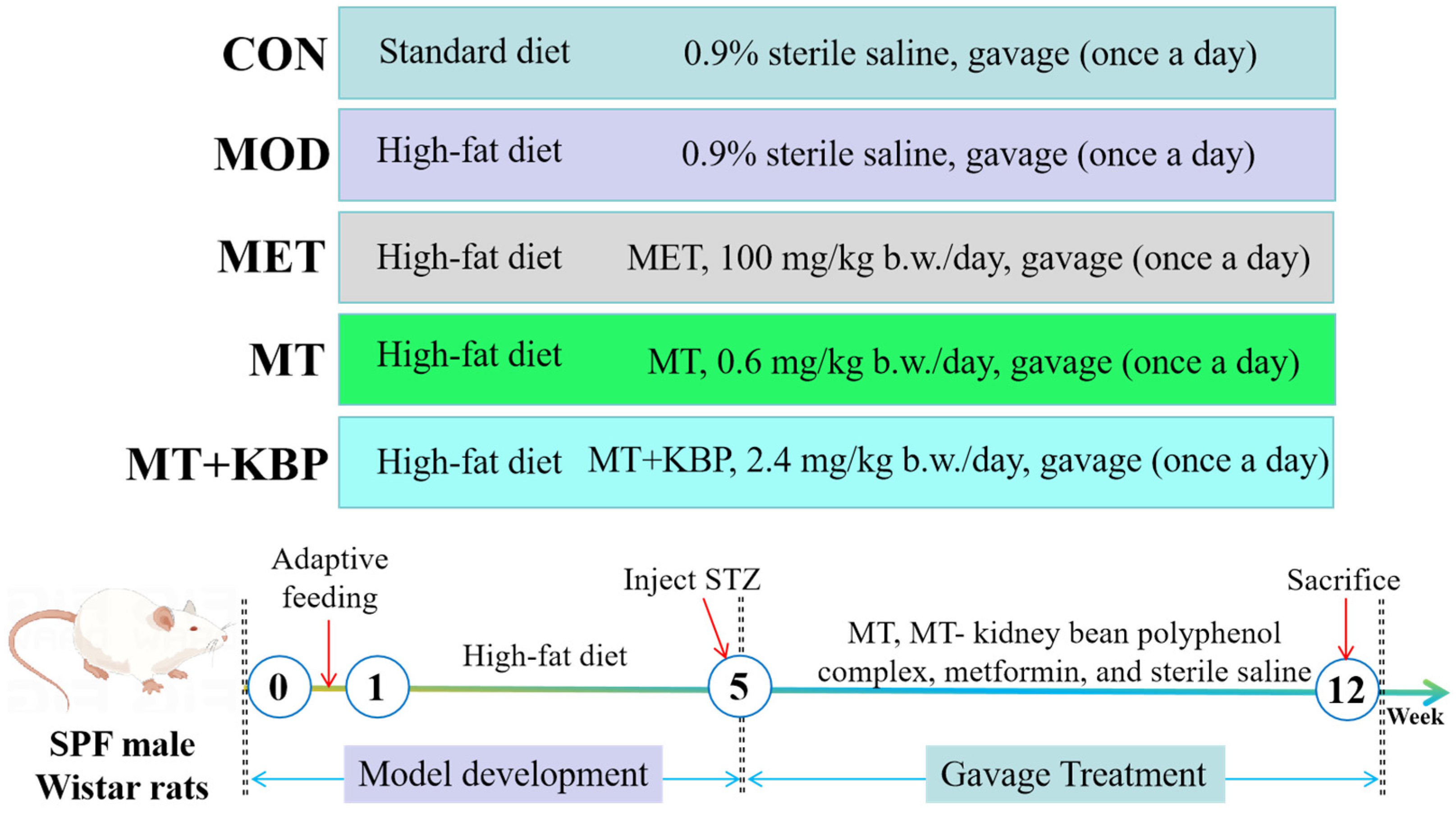 Foods 12 03139 g001