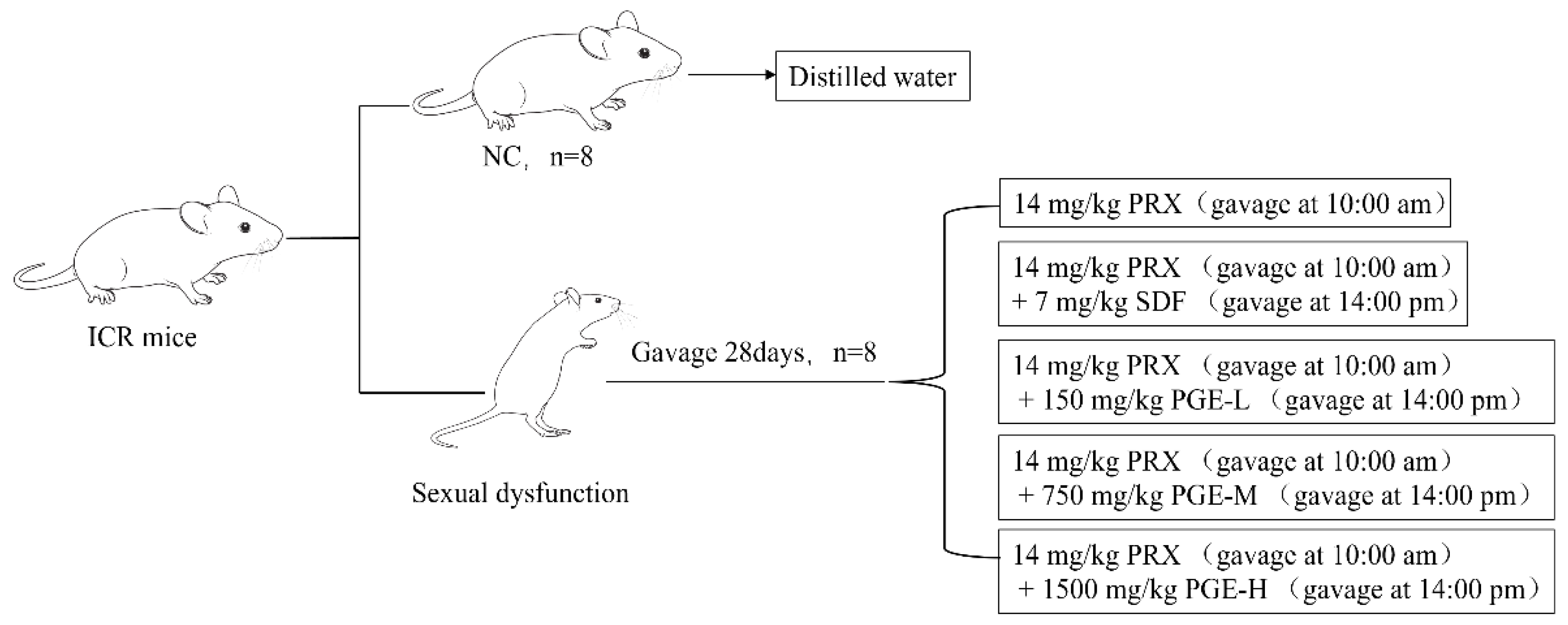 Foods 12 03236 g001 Foods 12 03236 g001