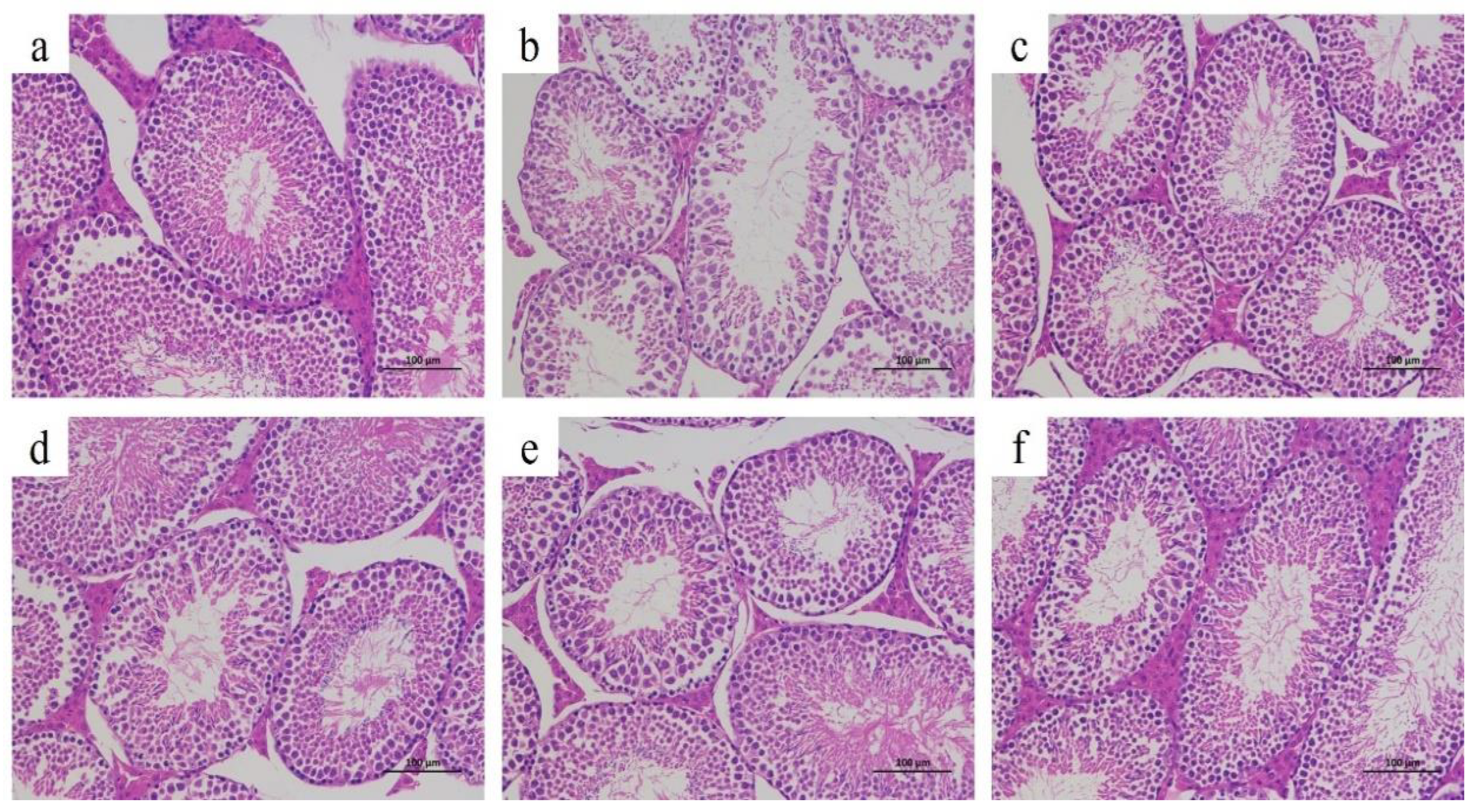Foods 12 03236 g007 Foods 12 03236 g007