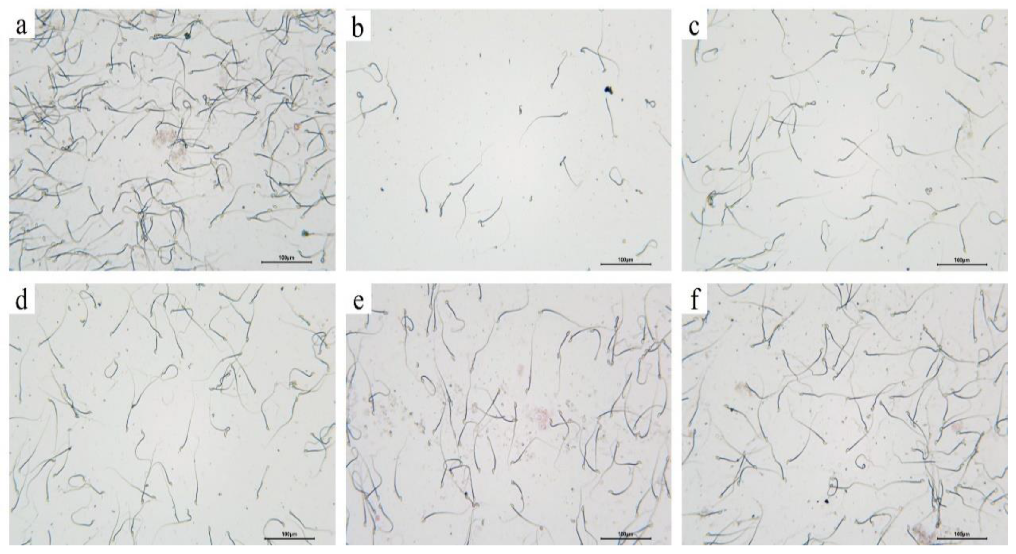 Foods 12 03236 g009 Foods 12 03236 g009