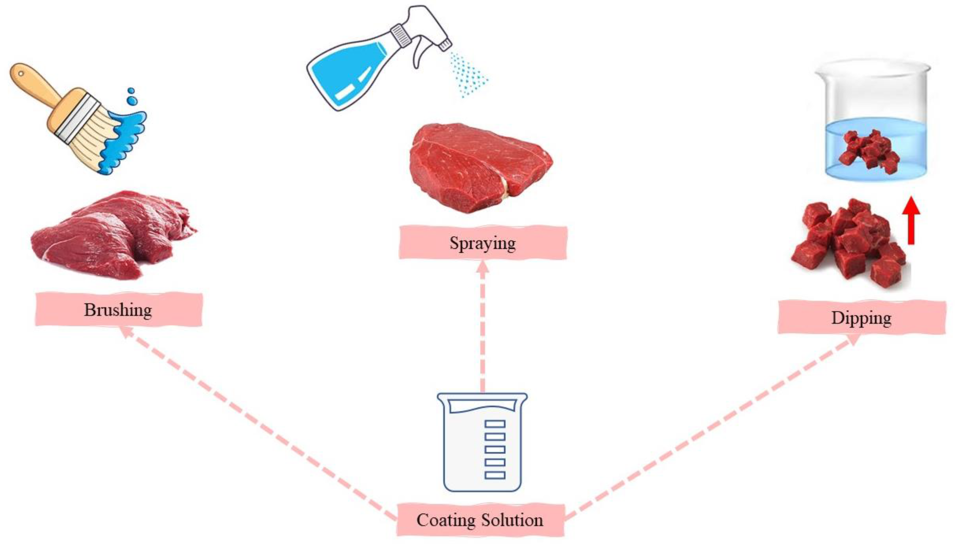 Foods 12 03268 g001 Foods 12 03268 g001