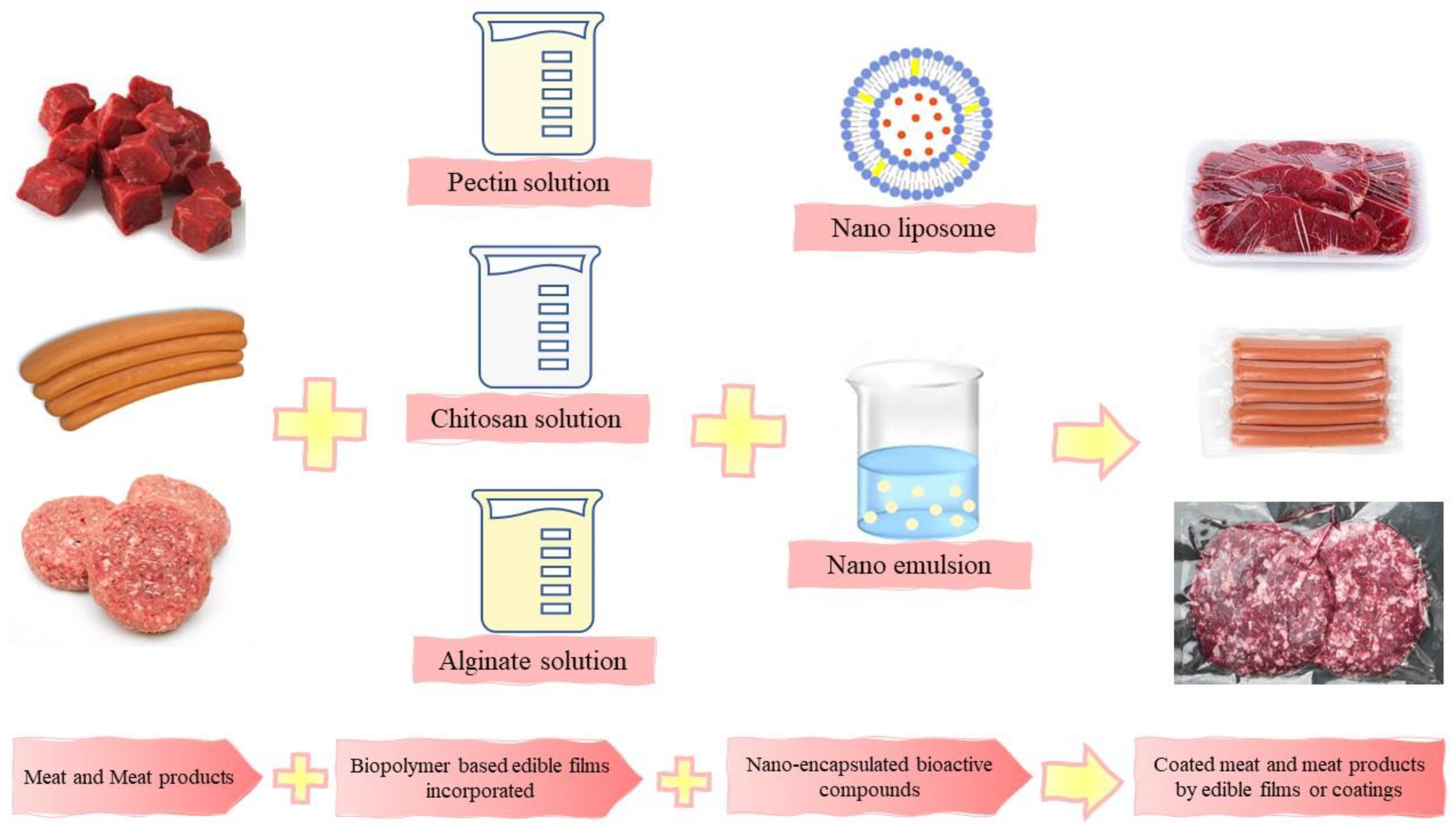 Foods 12 03268 g002 Foods 12 03268 g002