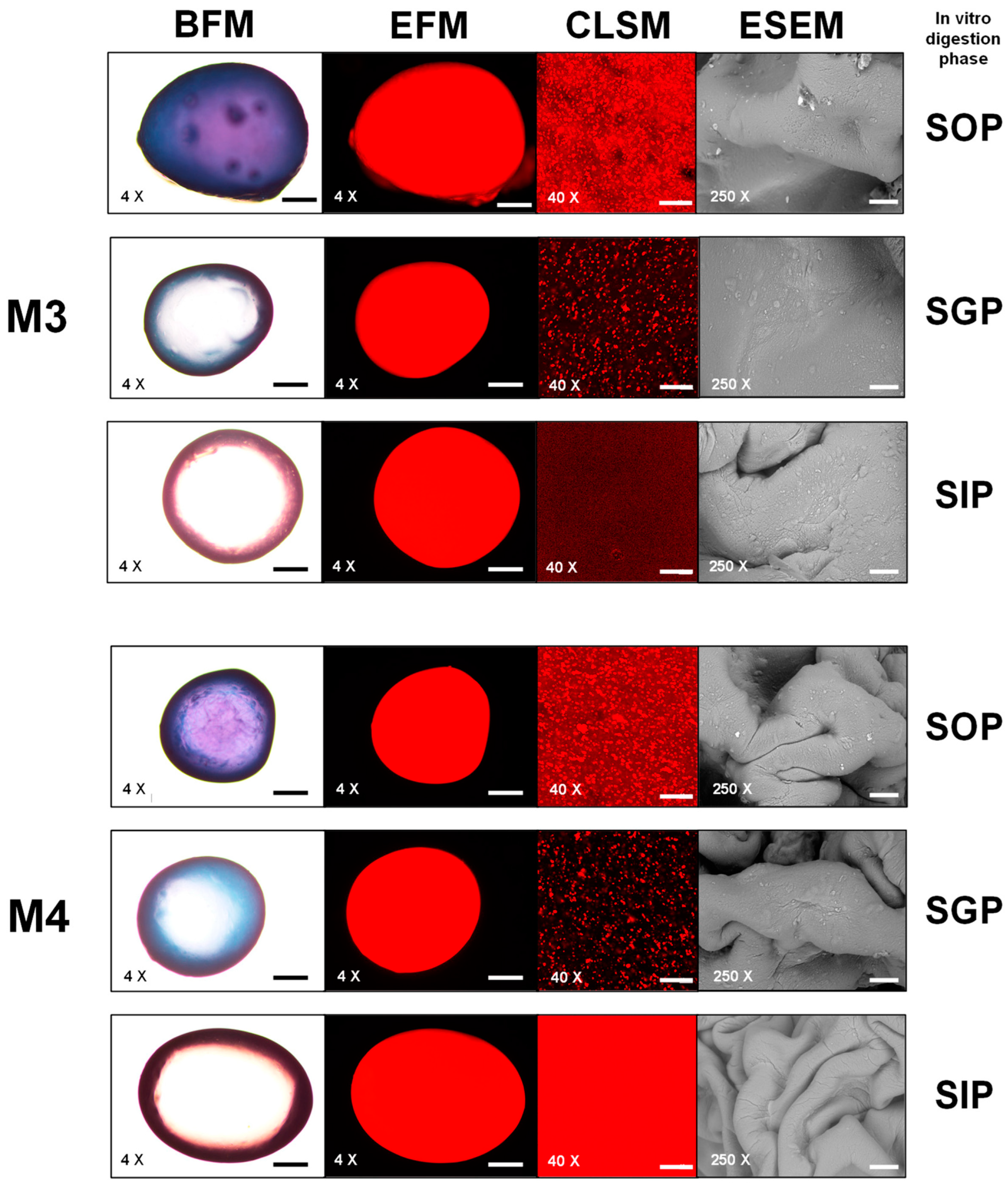 Foods 12 03272 g007b