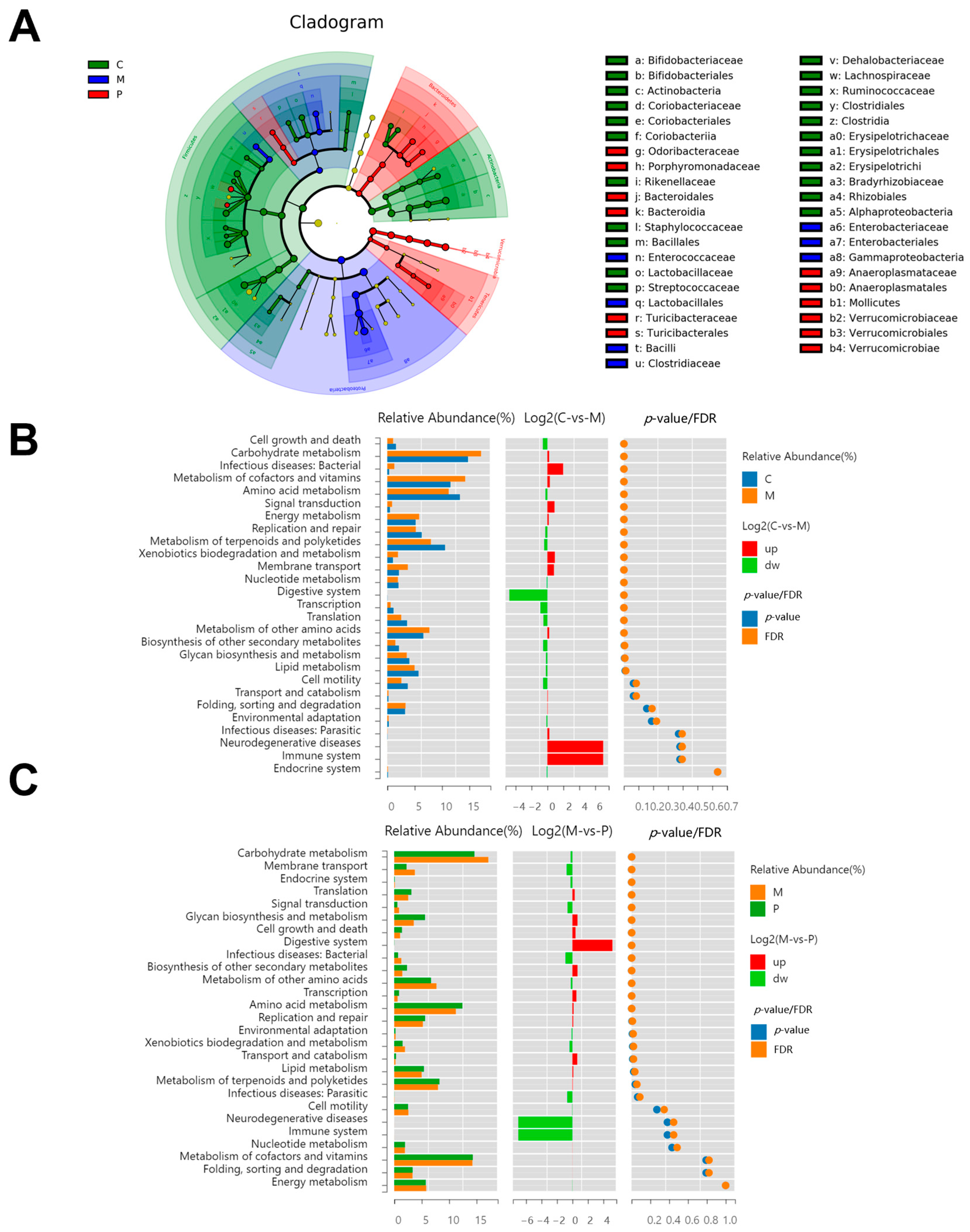 Foods 12 03329 g006a