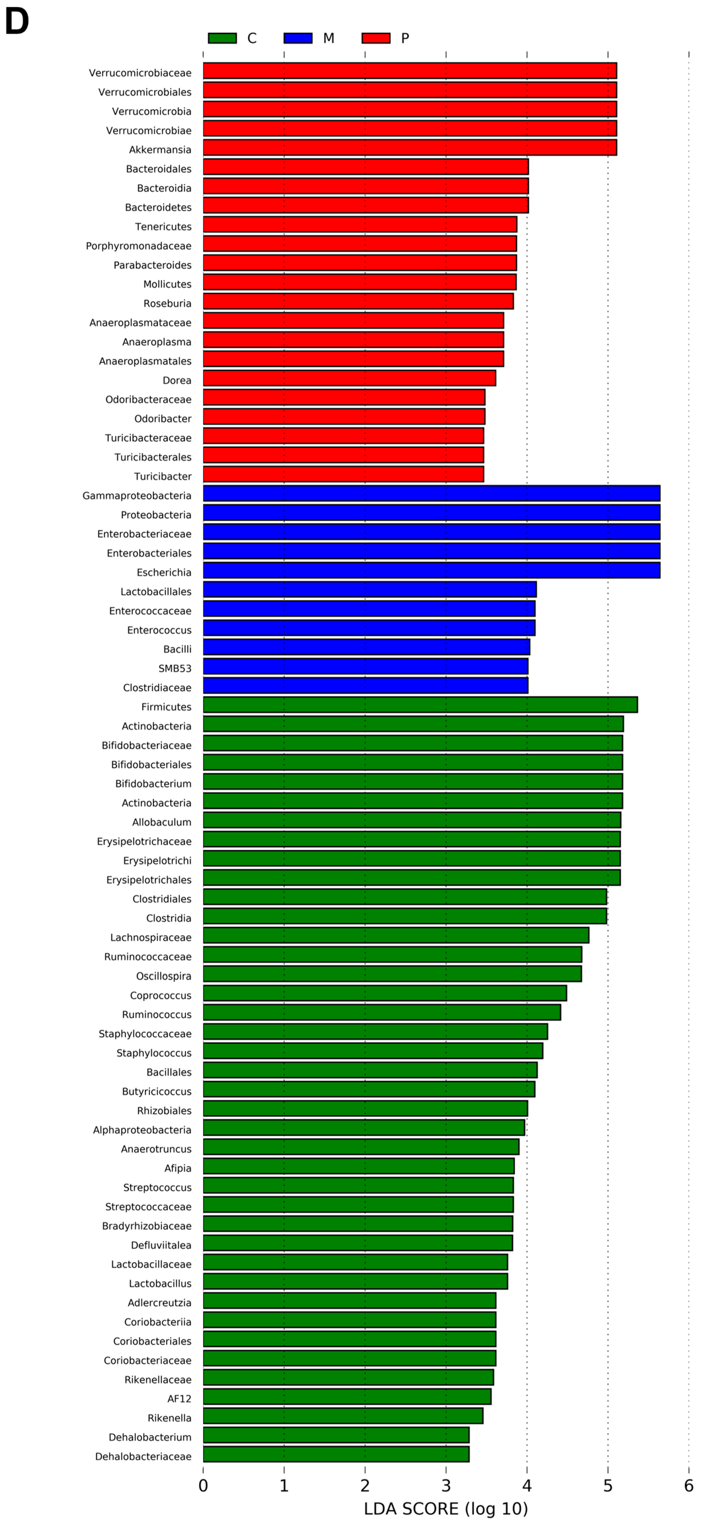 Foods 12 03329 g006b
